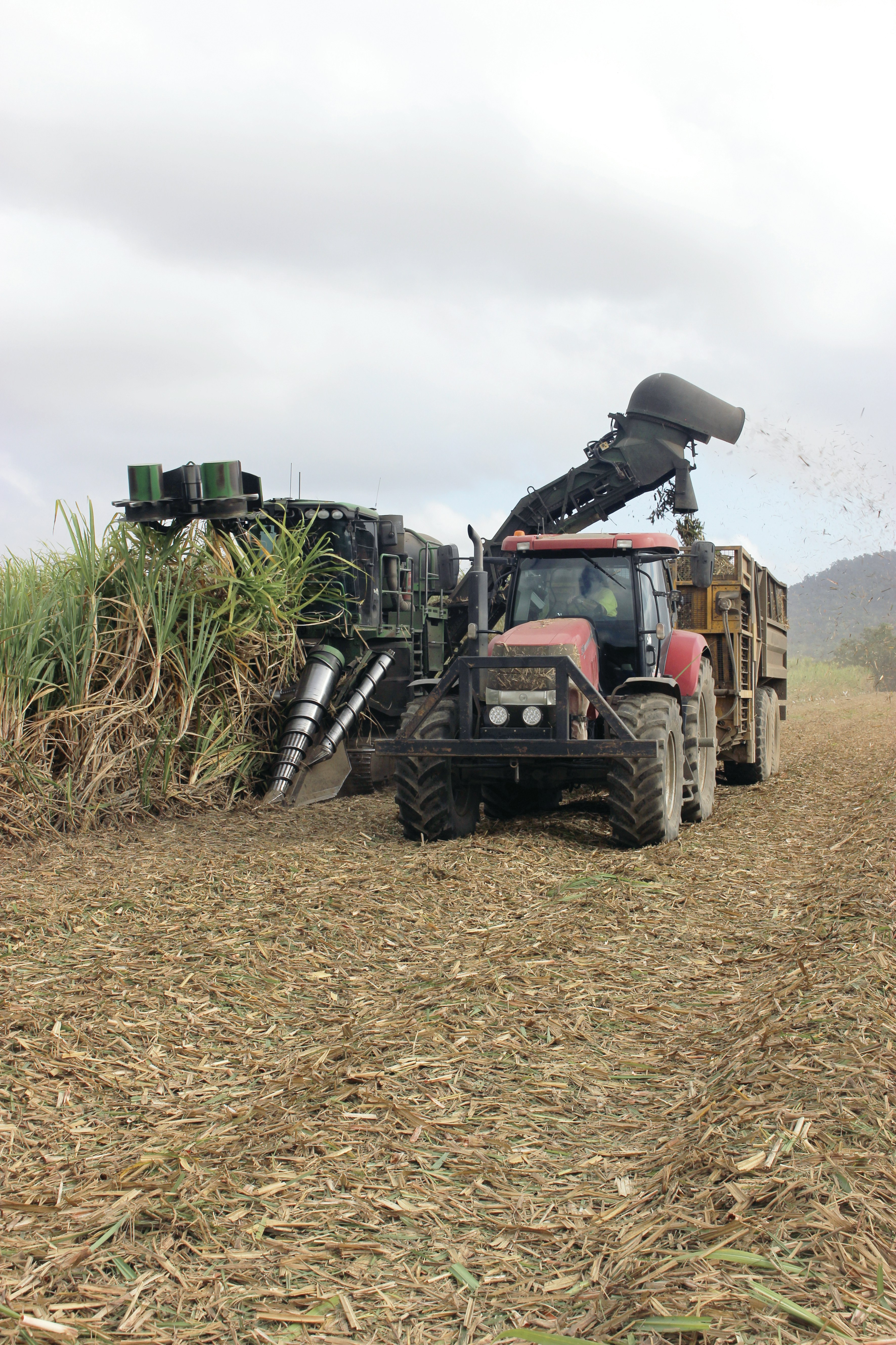 a tractor is driving through a corn field