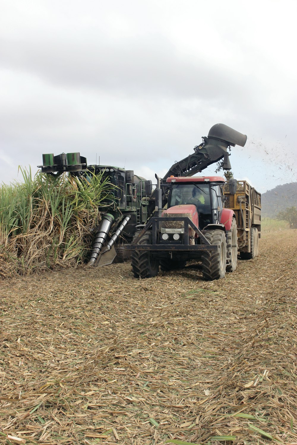 a tractor is driving through a corn field