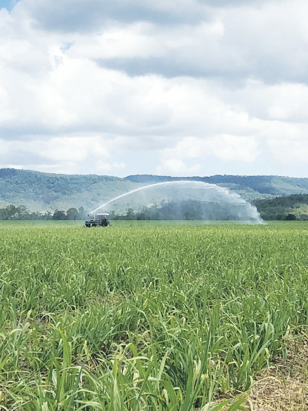 a tractor spraying water on a field of crops