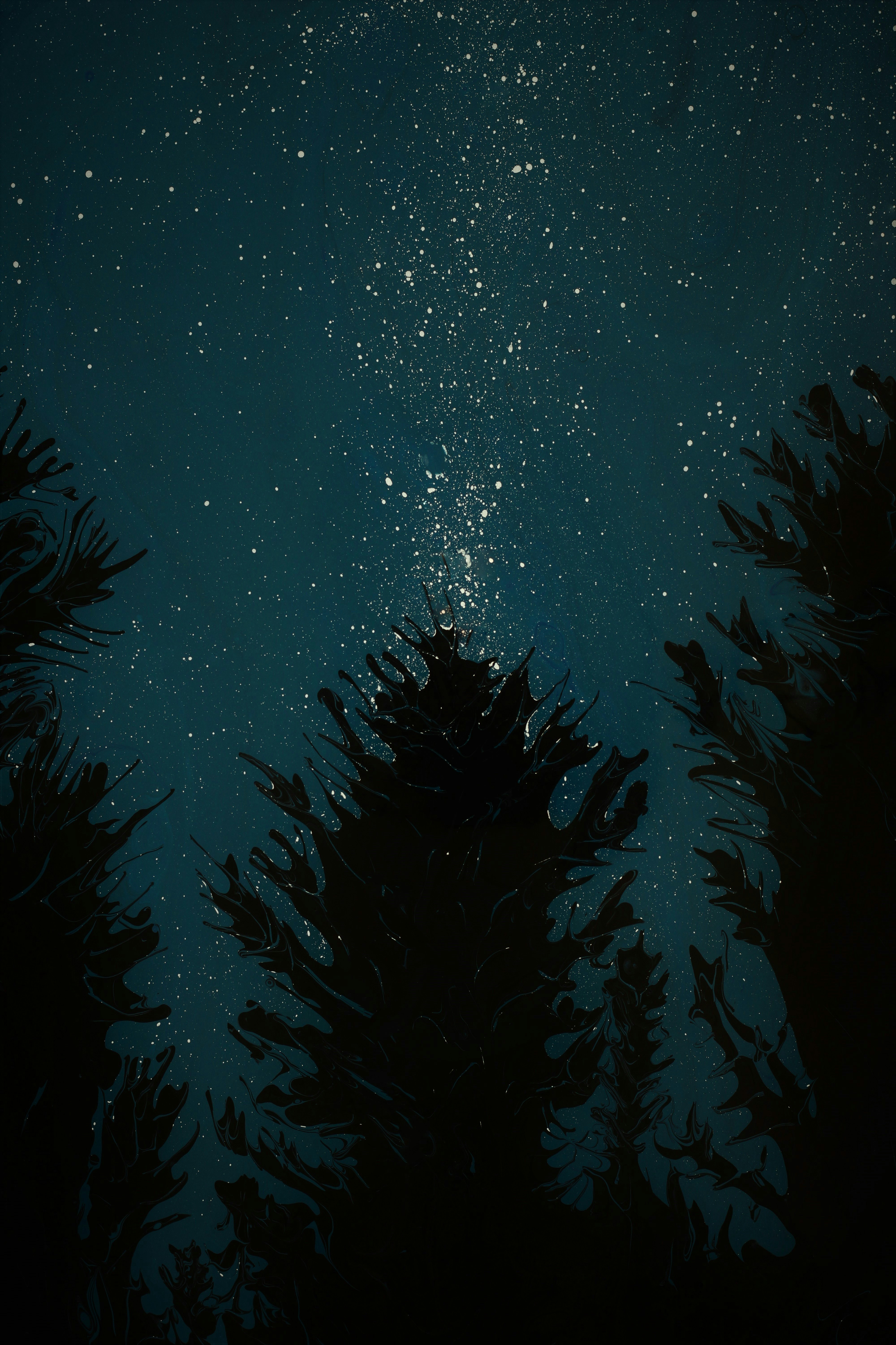 a night sky with stars and trees in the foreground
