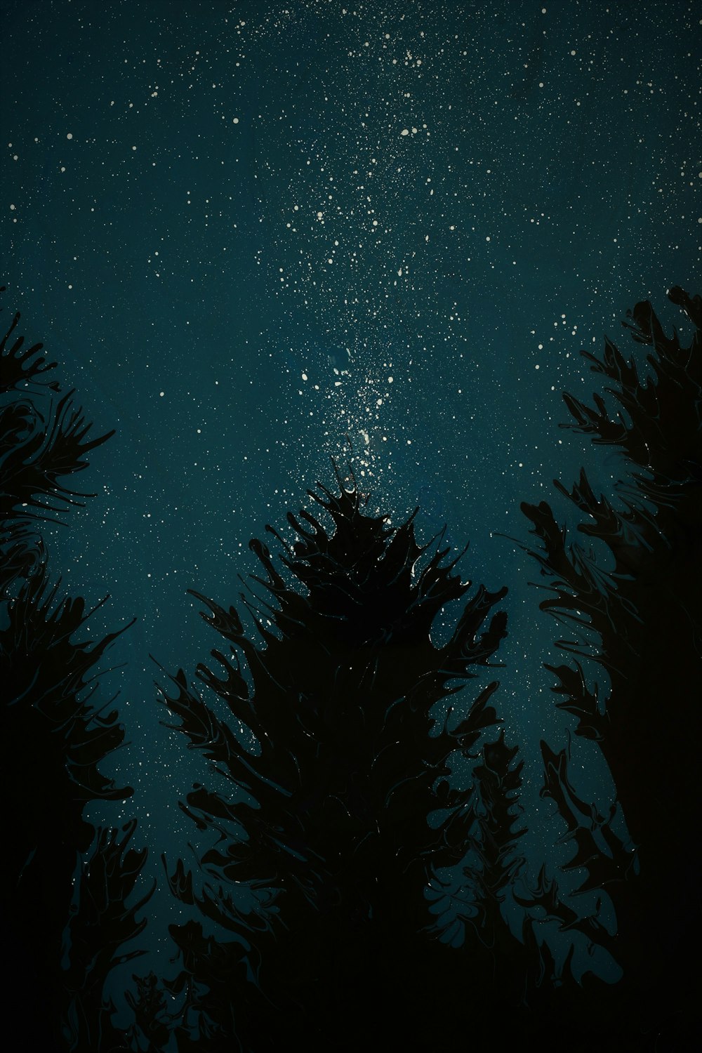 a night sky with stars and trees in the foreground