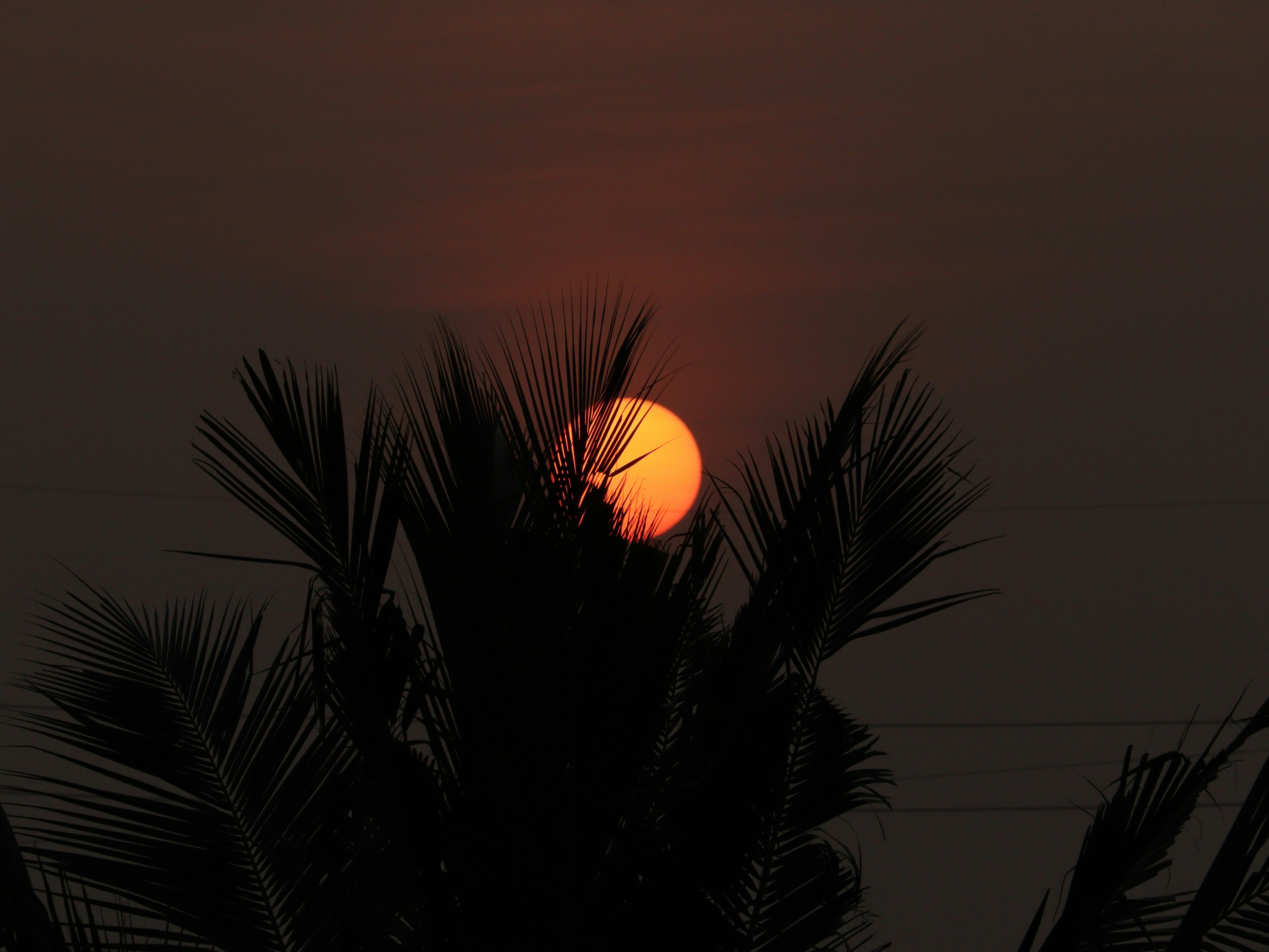 Photo by mariyan_rajesh