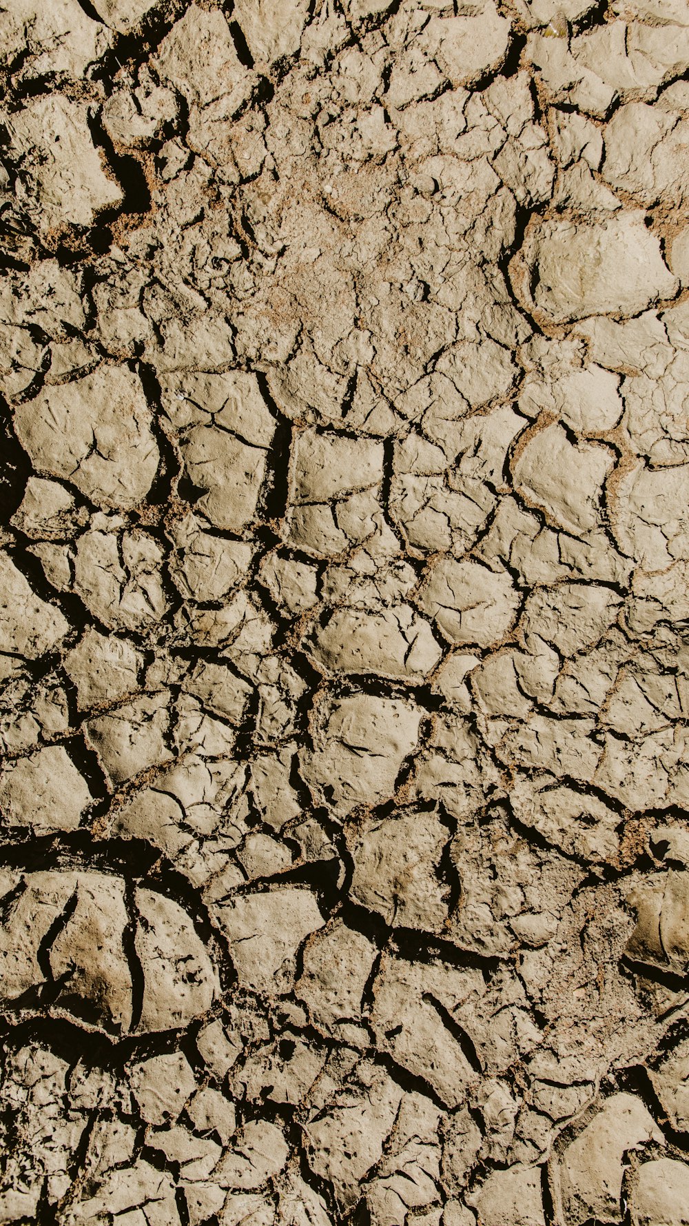 a close up of a dirt field with cracks in it