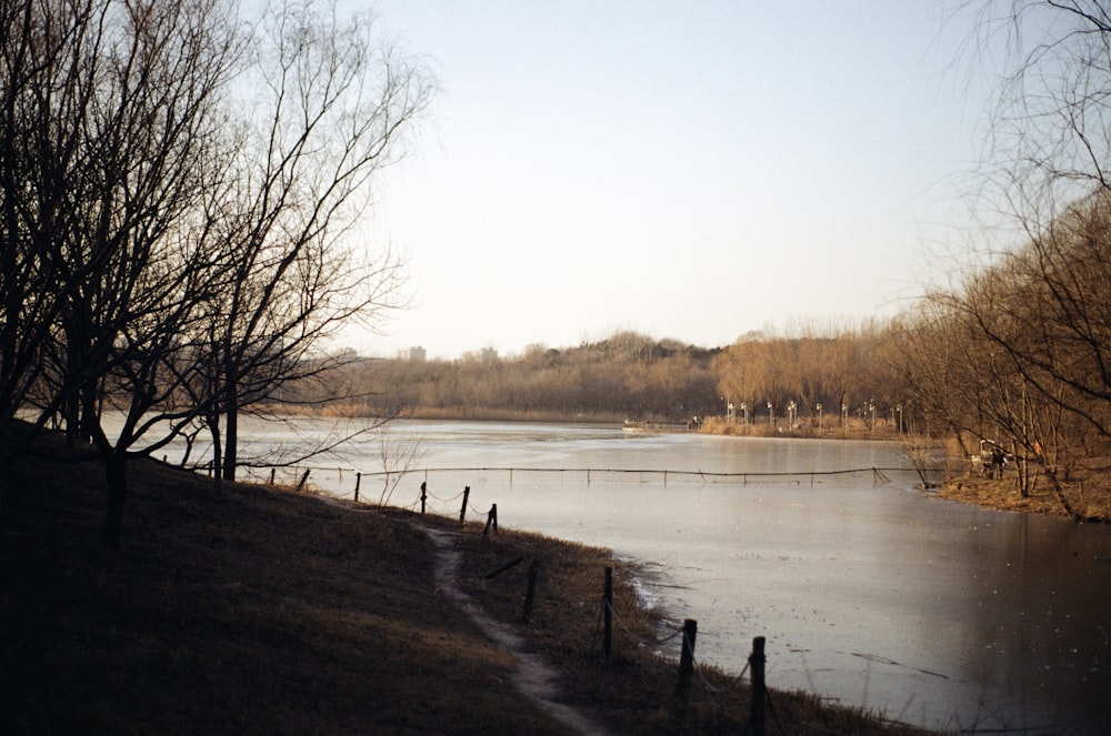 a body of water surrounded by trees and a fence
