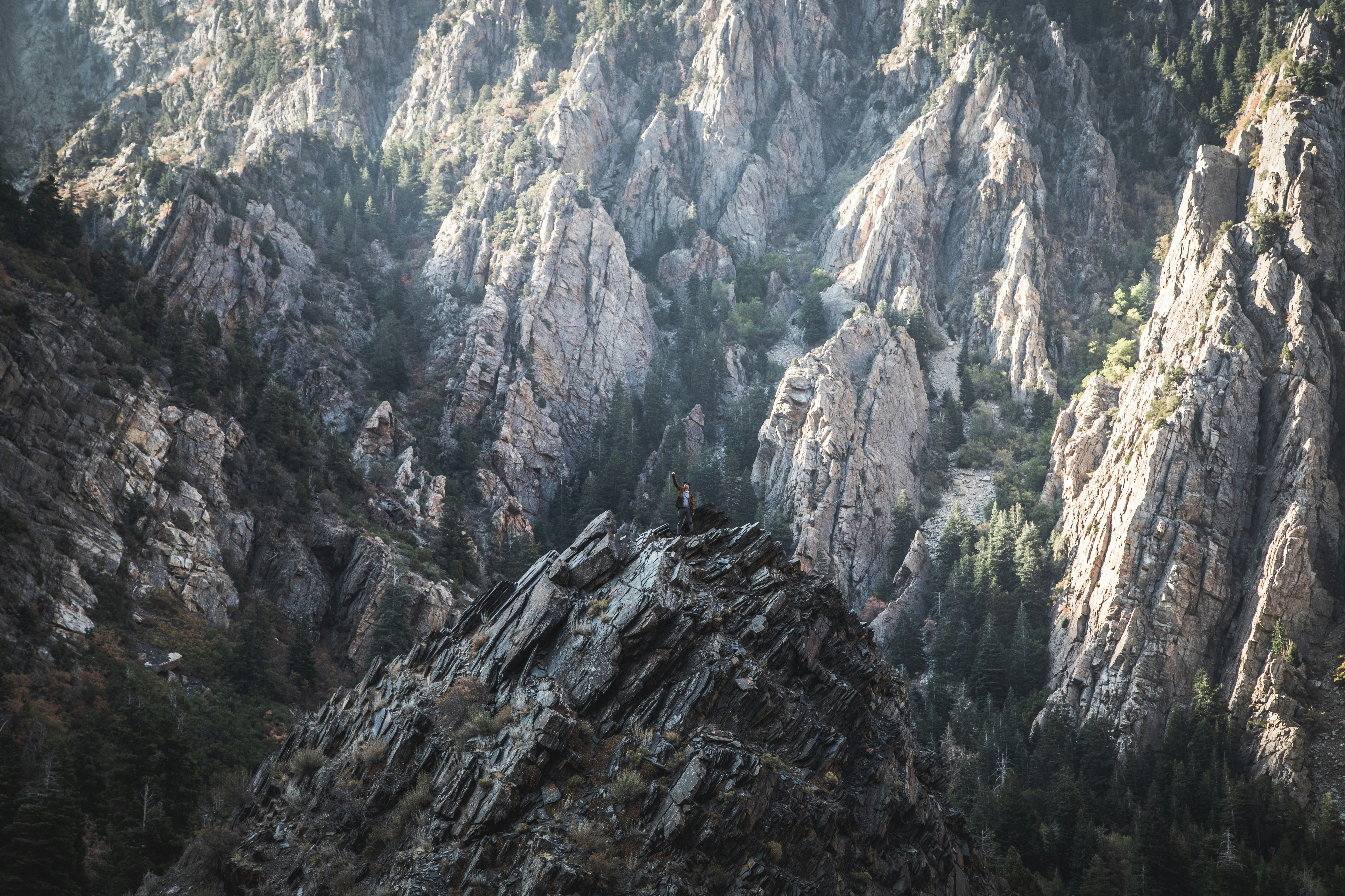 a rocky mountain with trees on the side of it