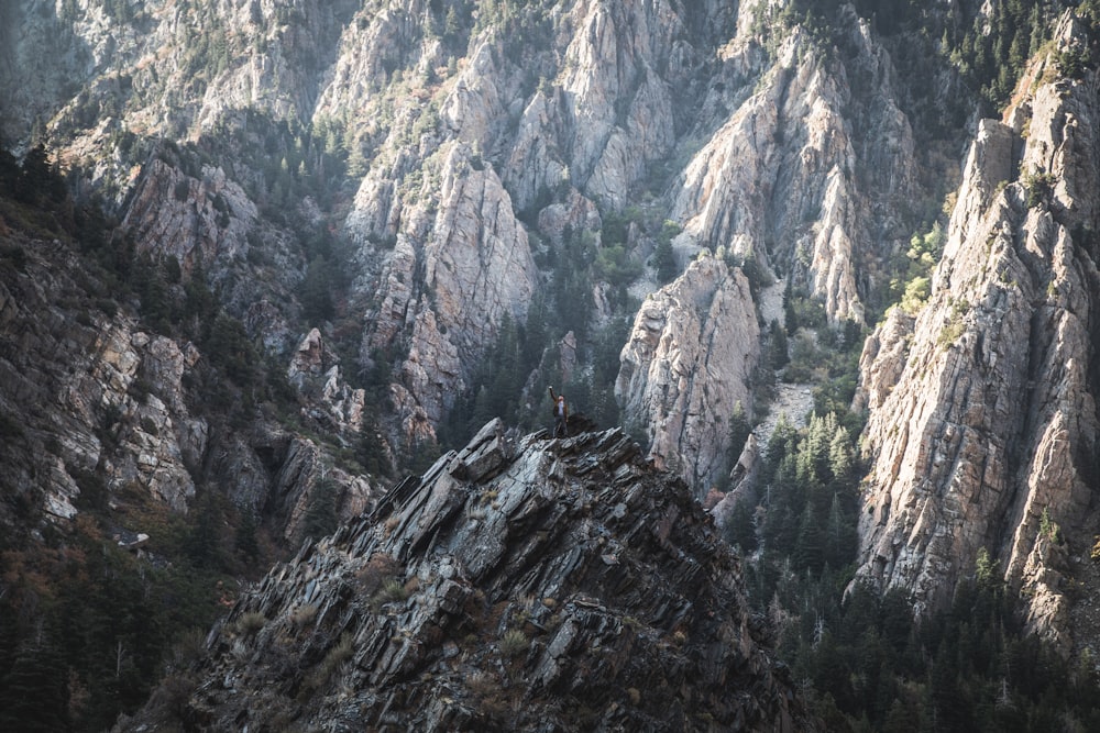 a rocky mountain with trees on the side of it