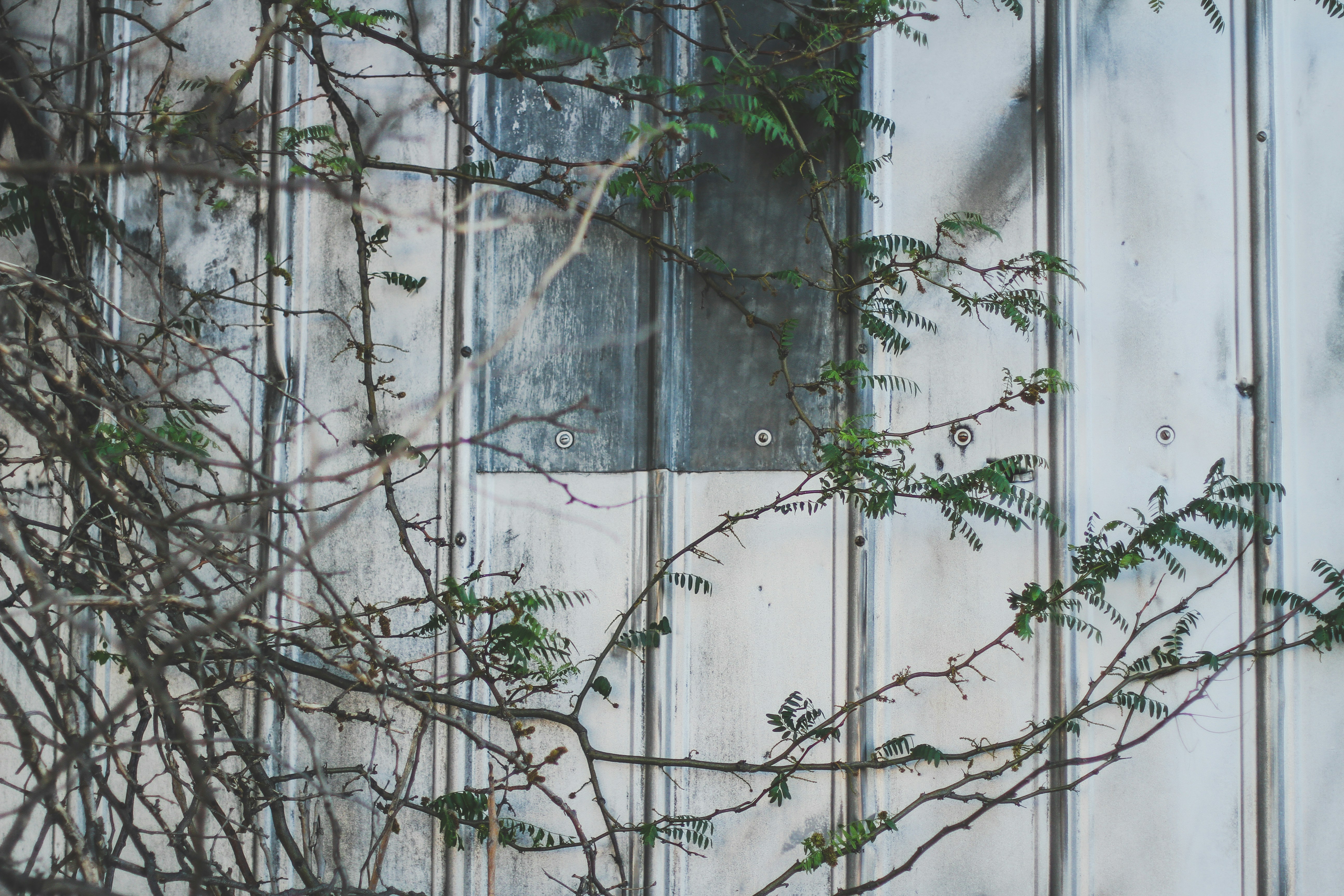 Photo by pqcrtivephoto