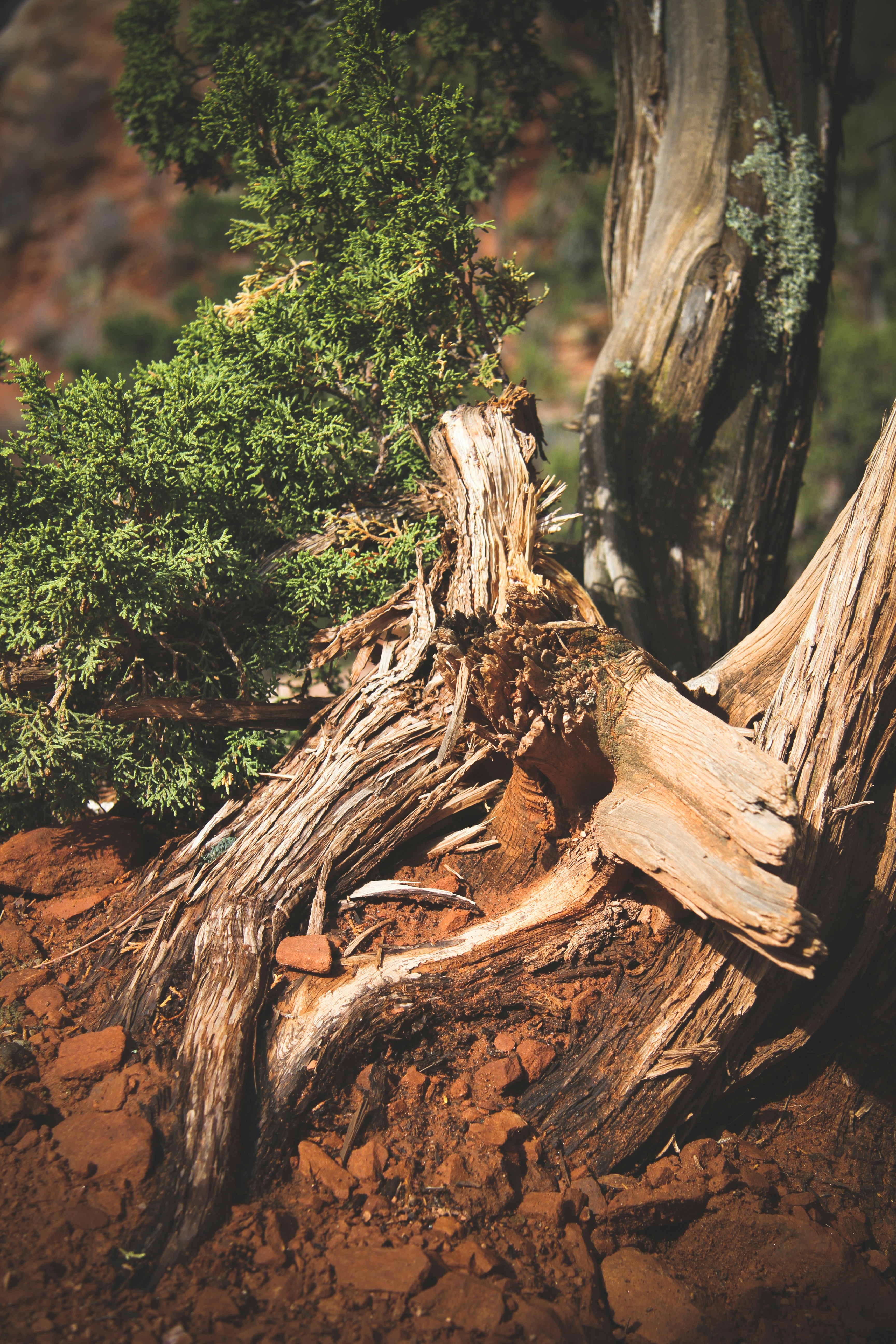 Photo by pqcrtivephoto