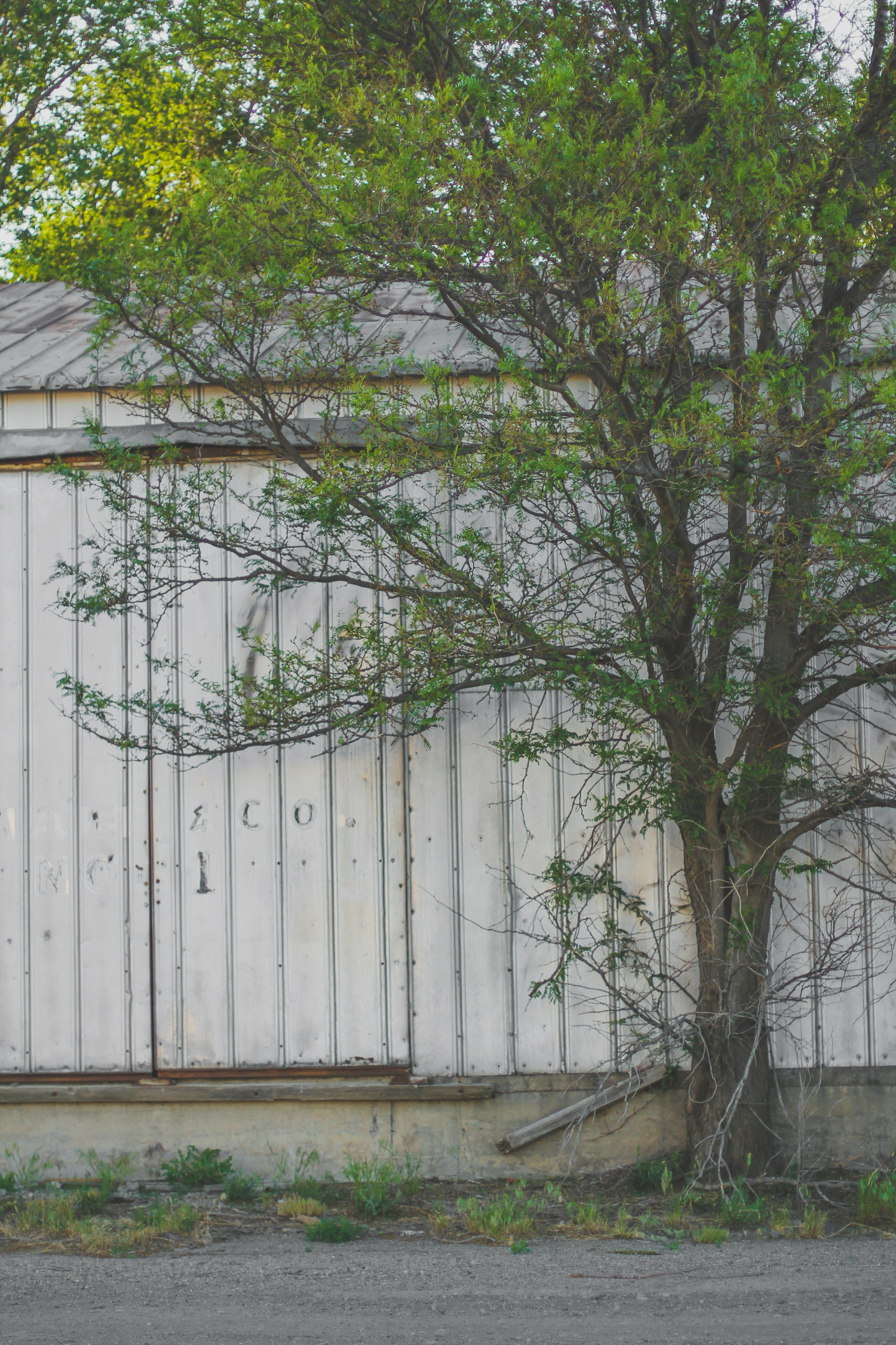 Photo by pqcrtivephoto