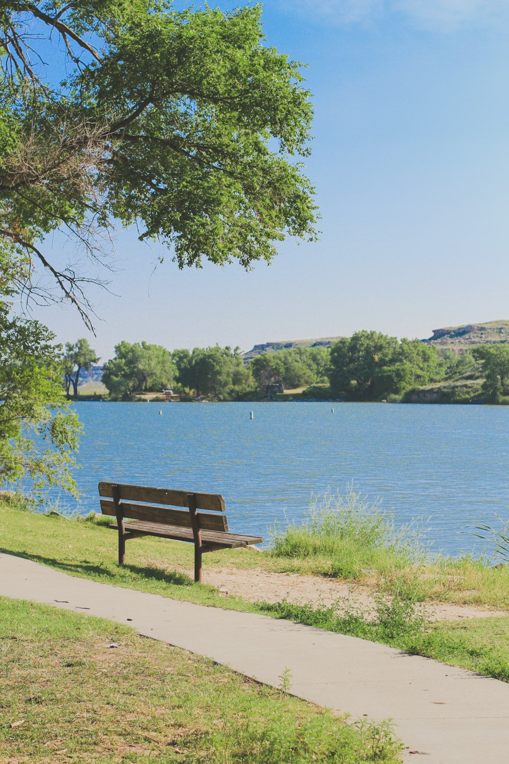 a park bench sitting on the side of a lake