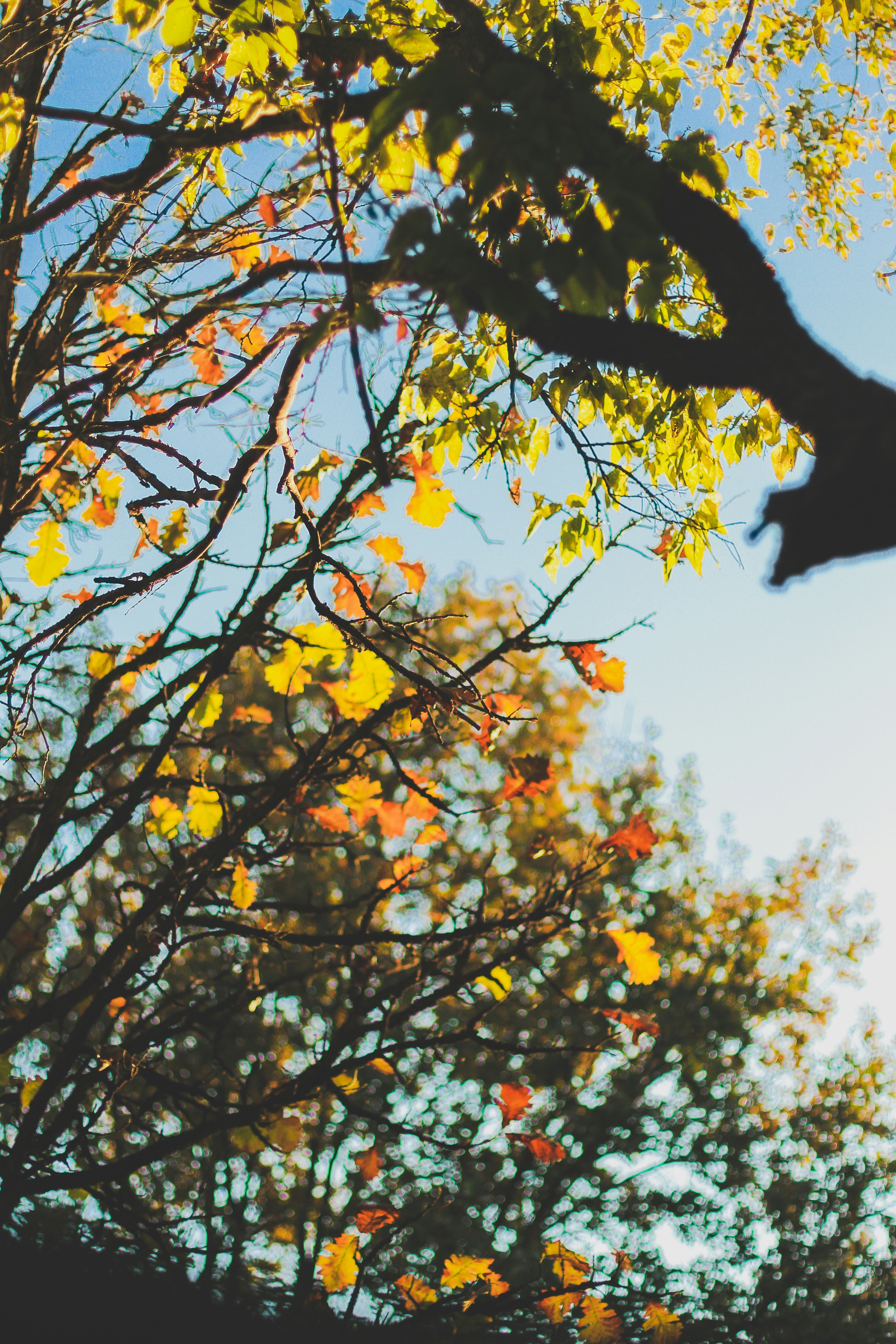 Photo by pqcrtivephoto