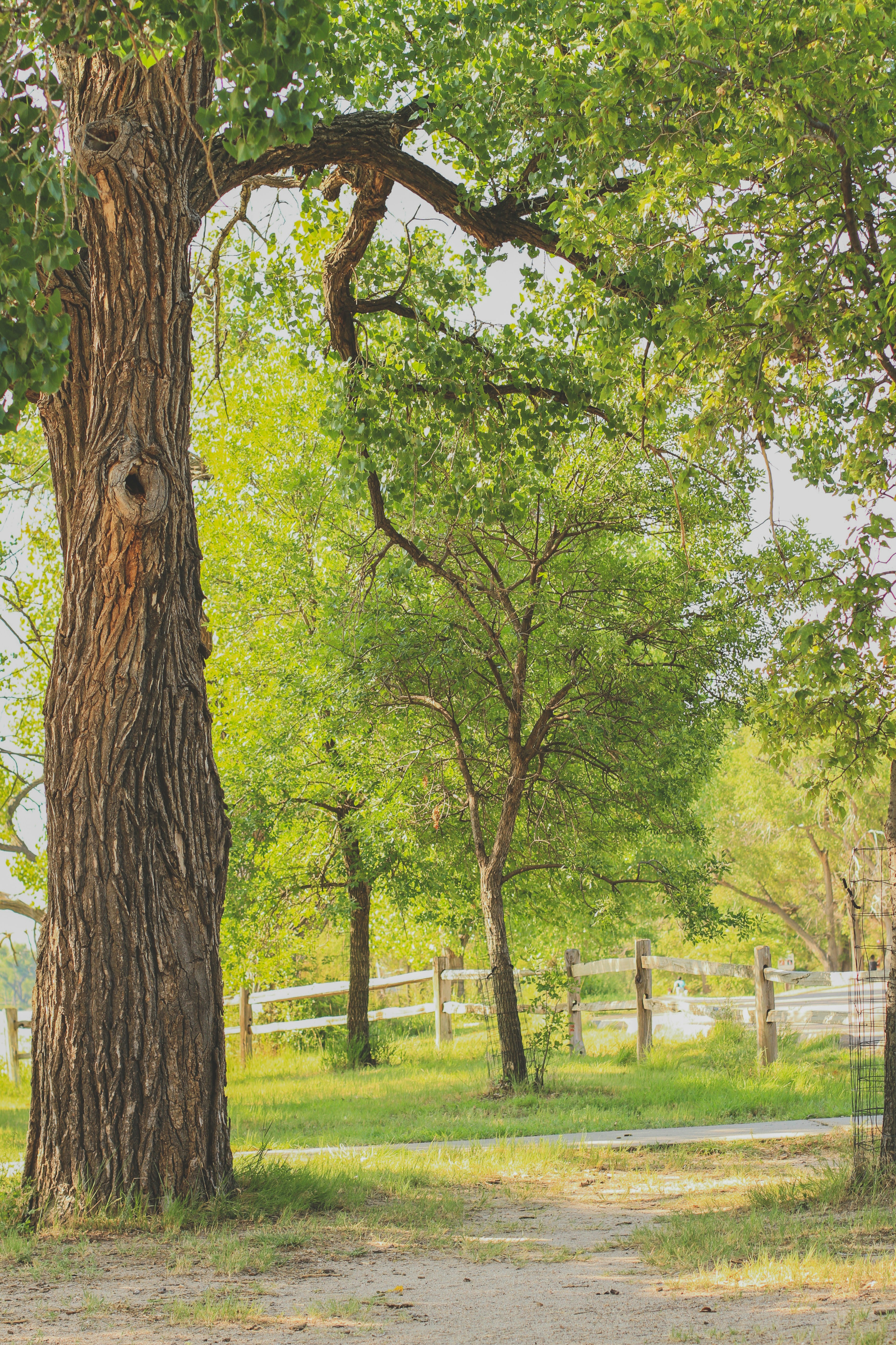 Photo by pqcrtivephoto