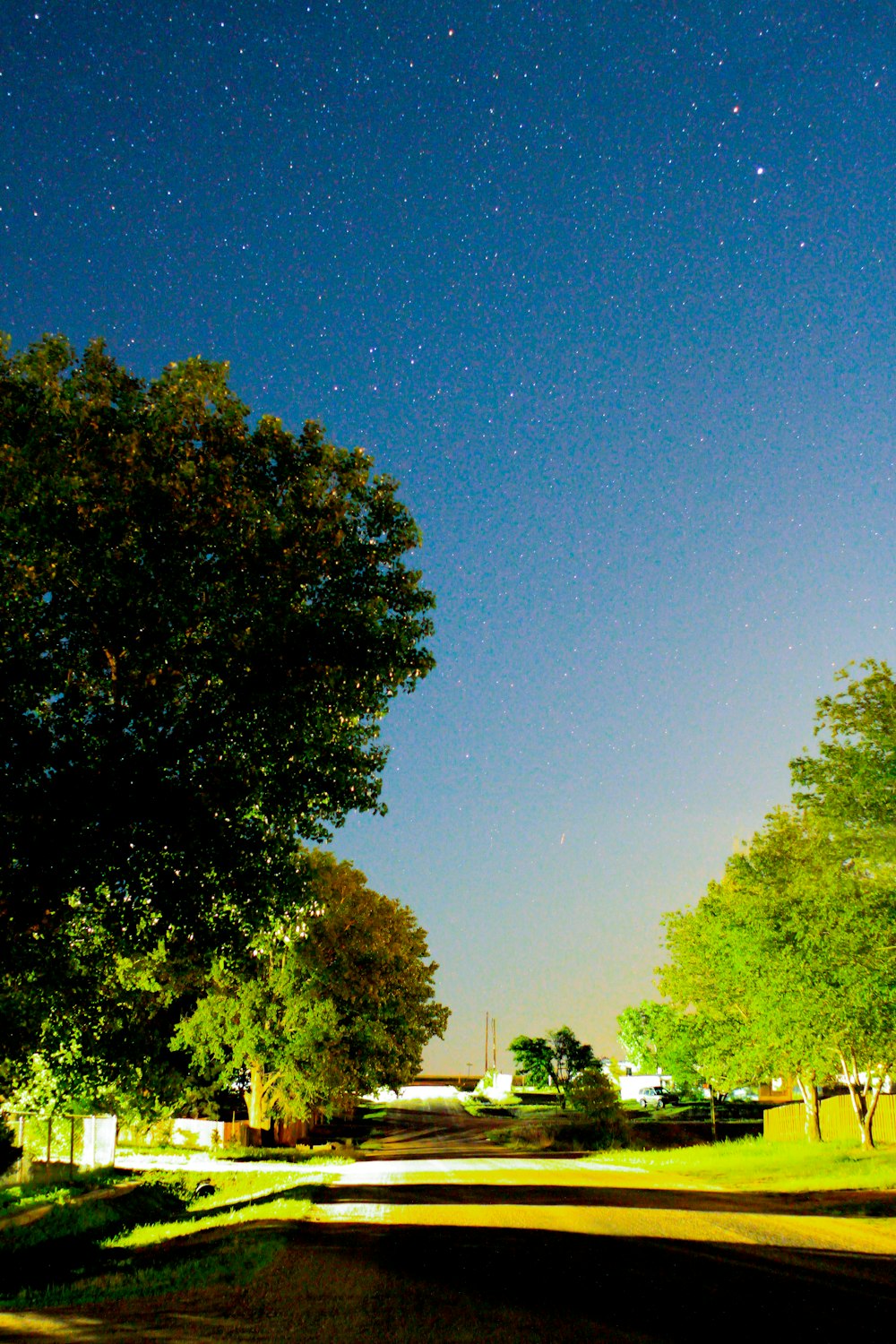 a night time view of a park with trees