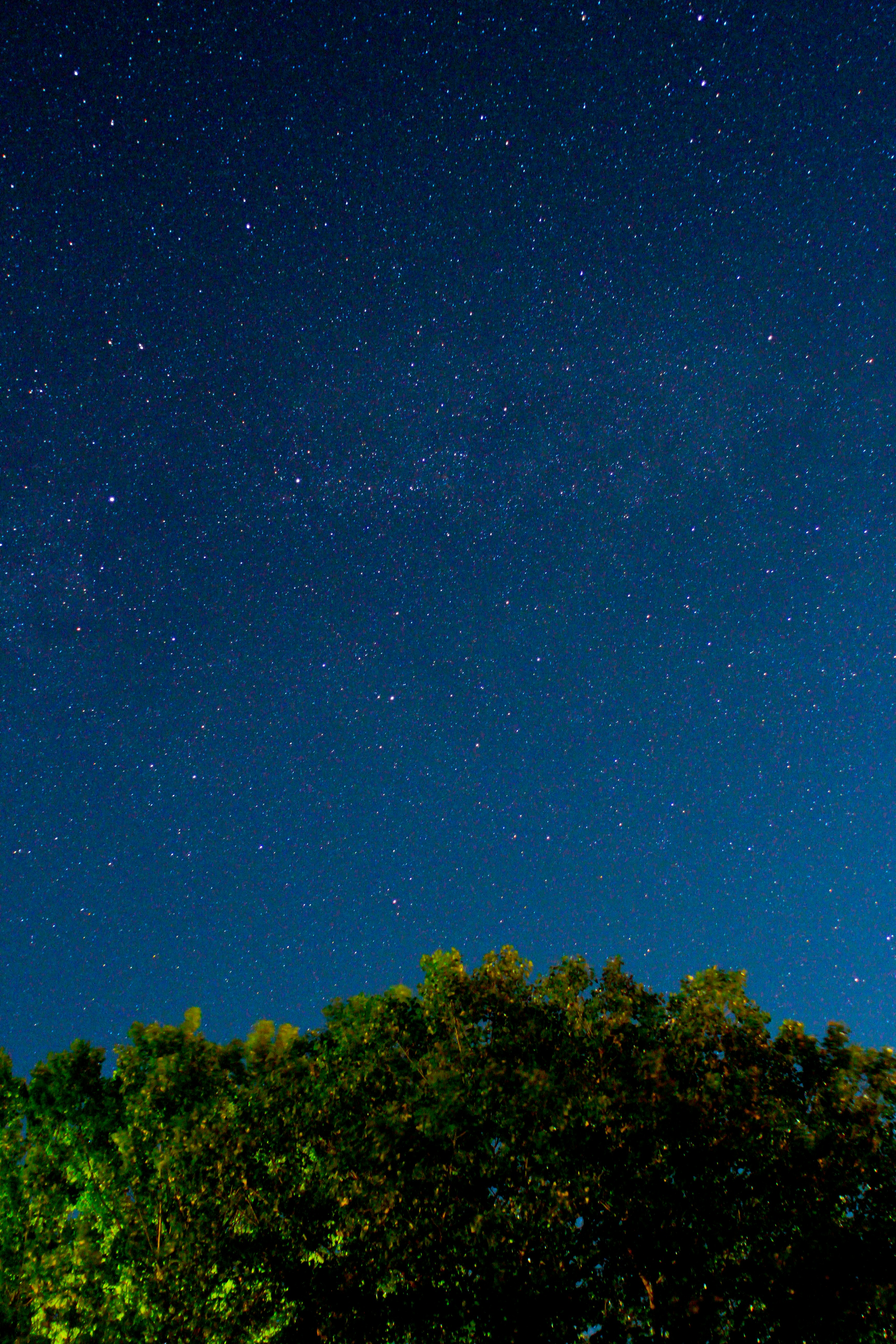 Photo by pqcrtivephoto