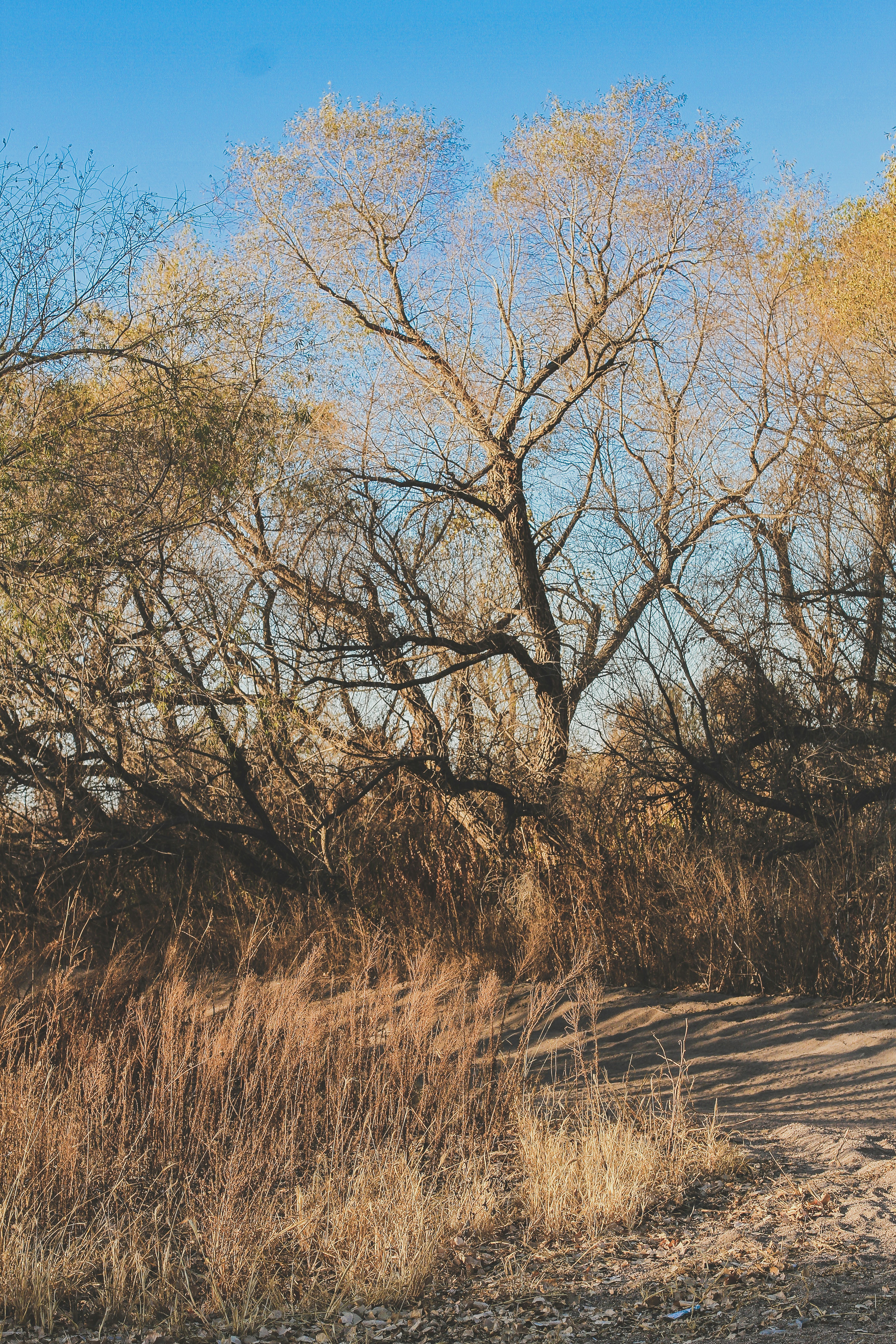 Photo by pqcrtivephoto