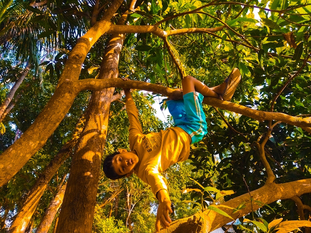 a man climbing up a tree in a forest