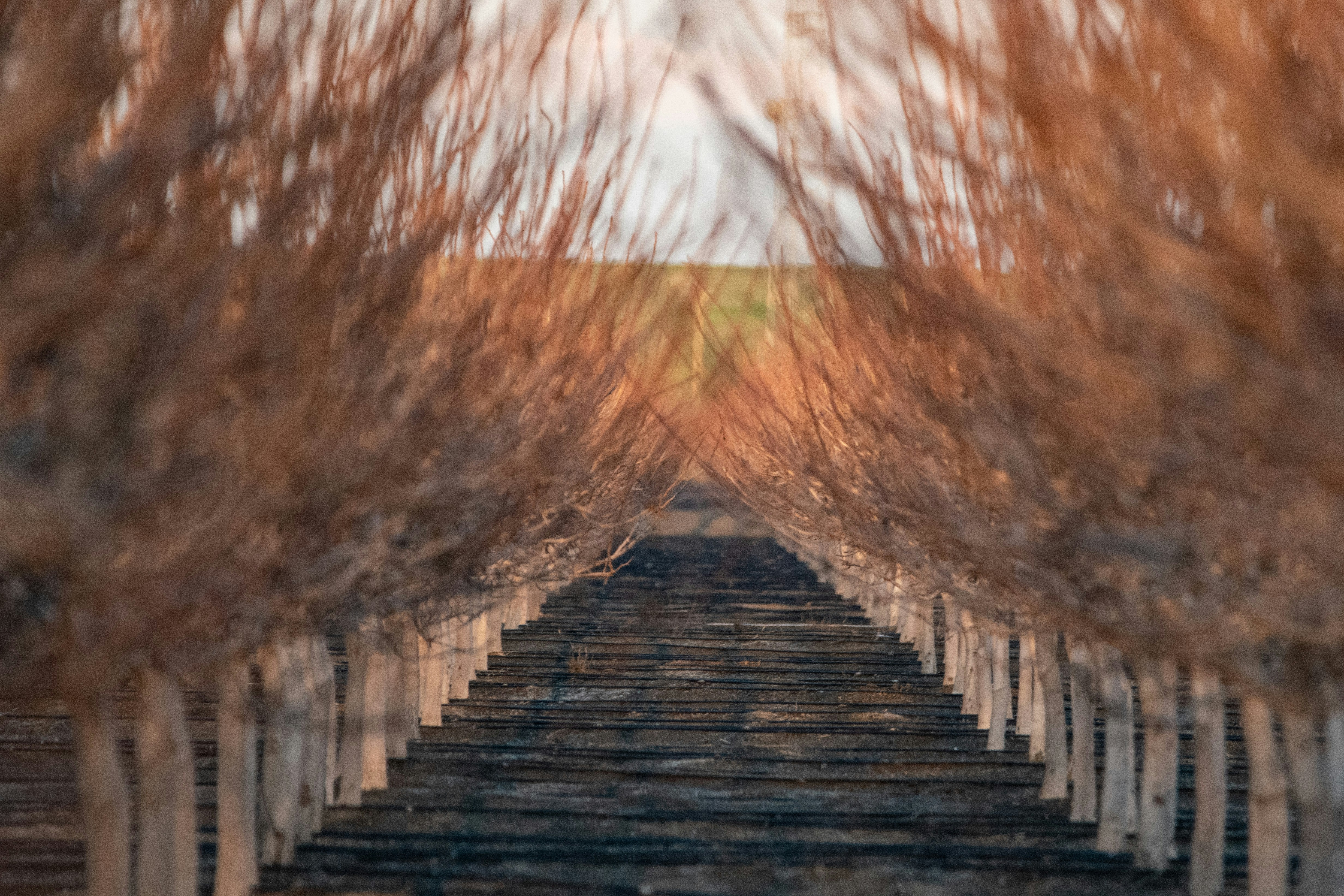 Photo by elisastonephotography