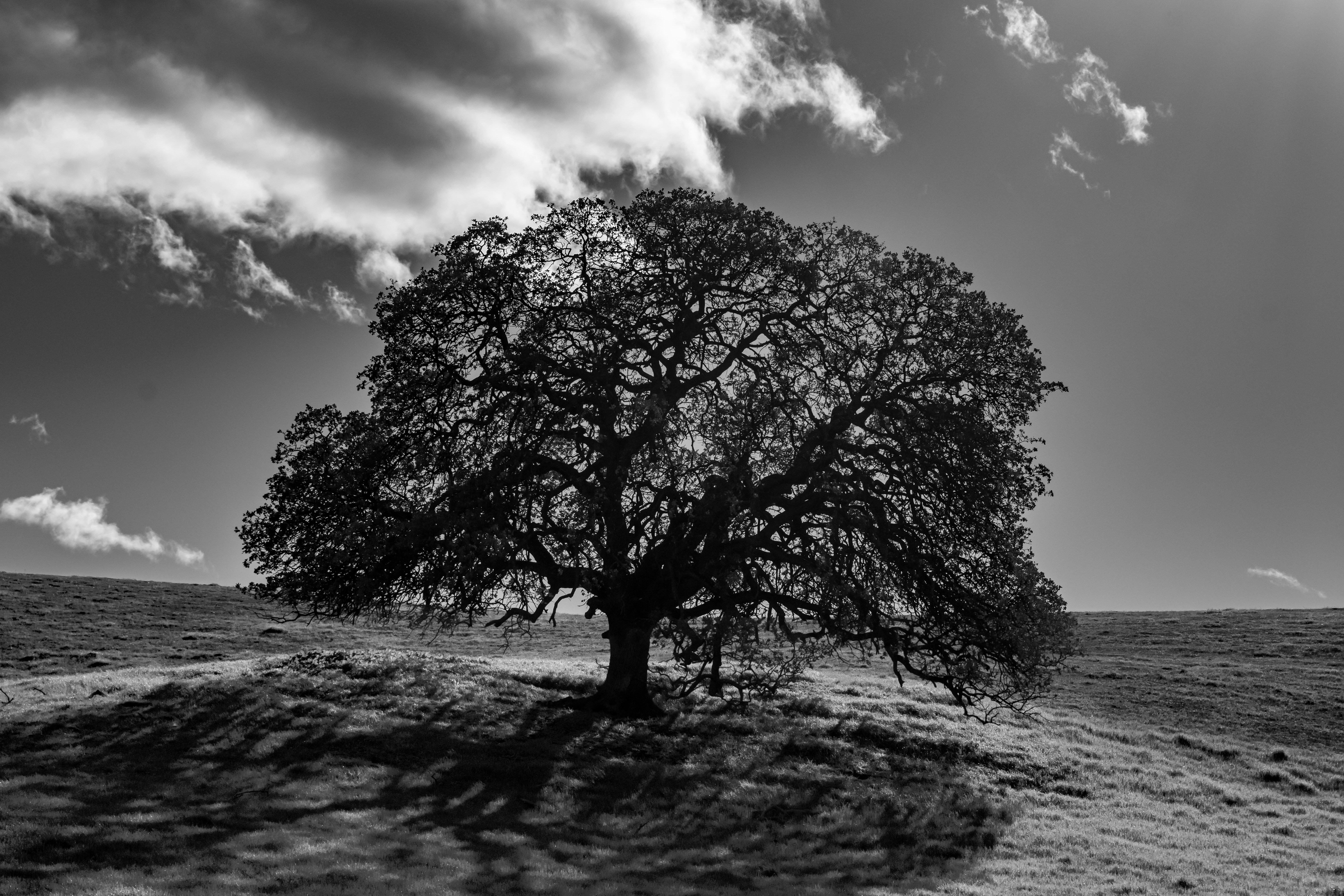 Photo by elisastonephotography