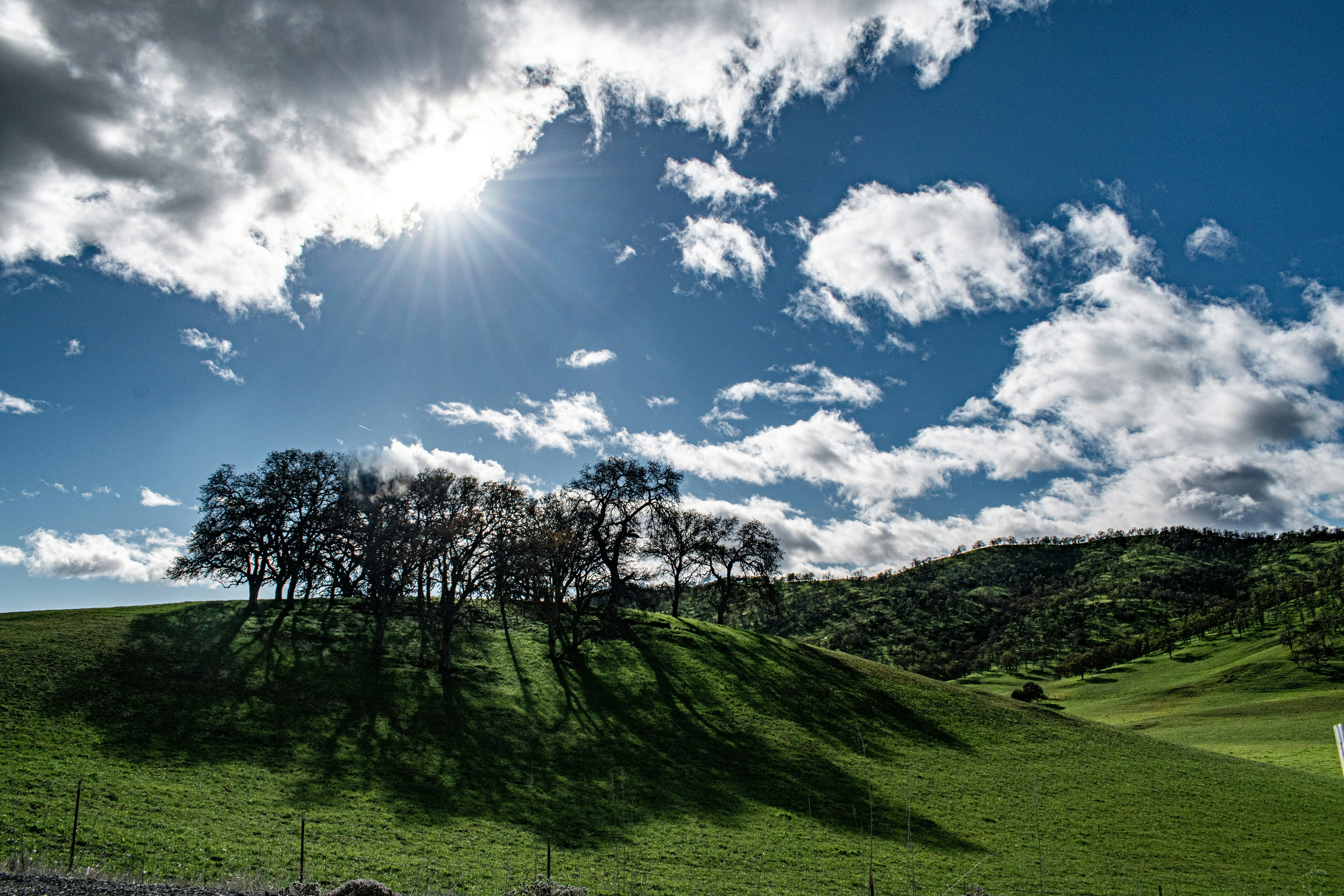 Photo by elisastonephotography