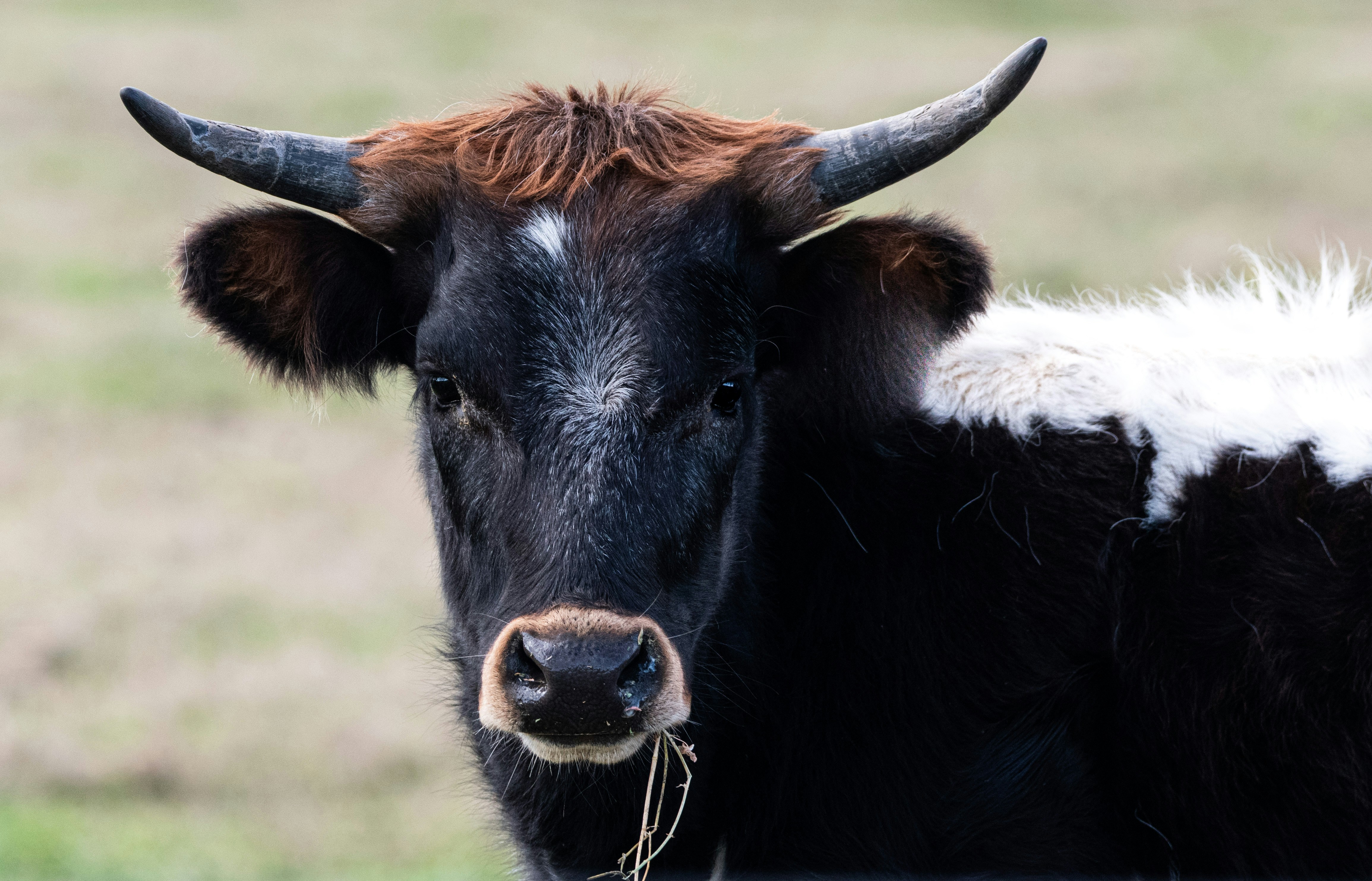 Photo by elisastonephotography