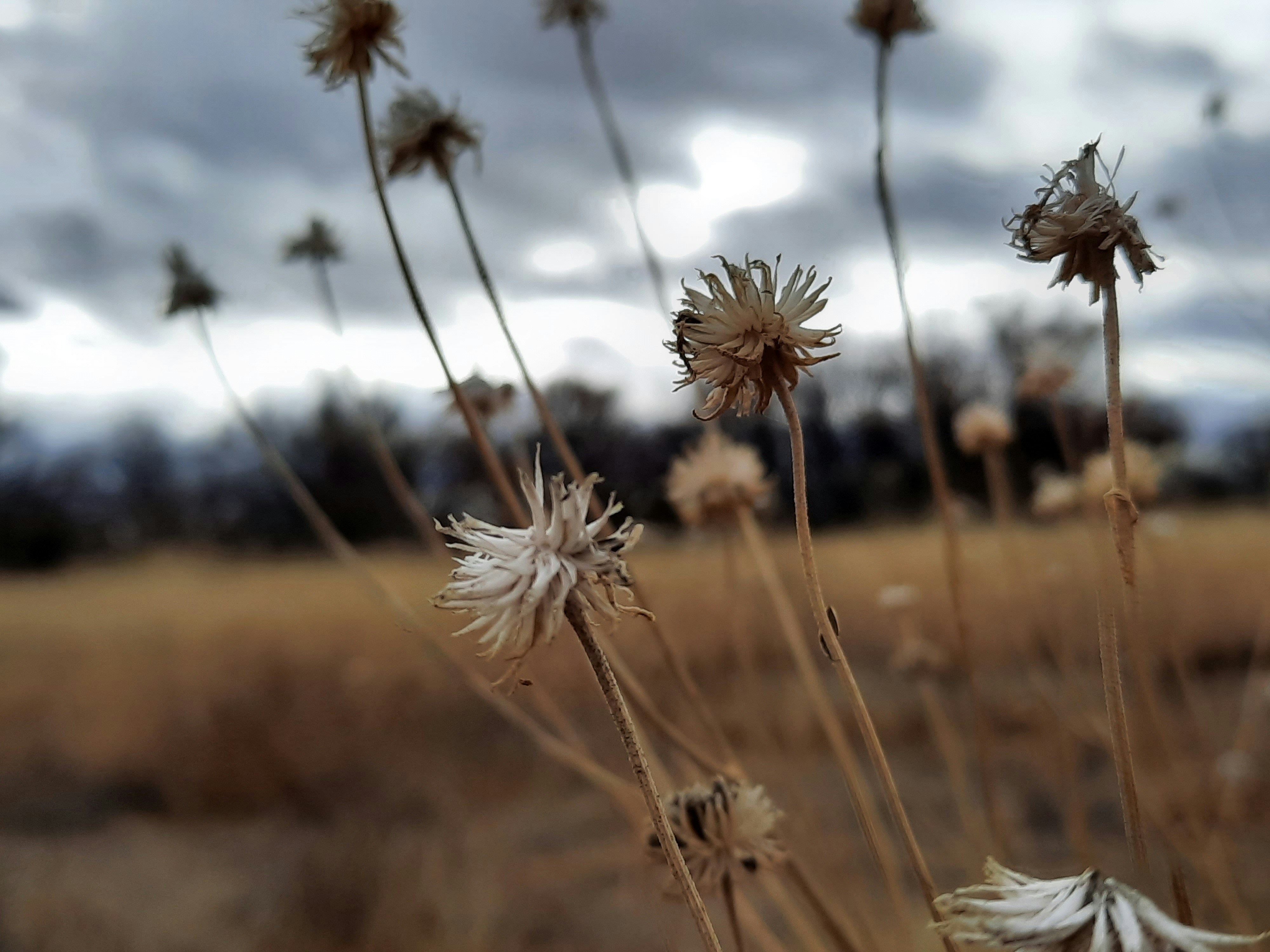 Photo by happy_duckling