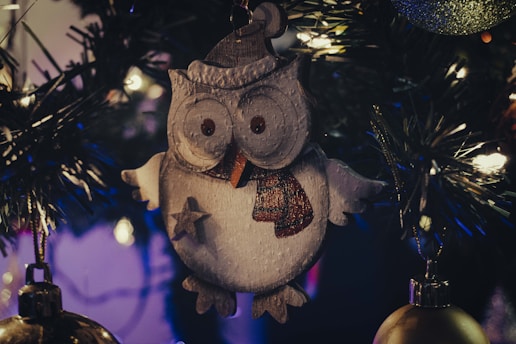A whimsical illustration of a great horned owl wearing a magician's hat, surrounded by stars and a crystal ball.