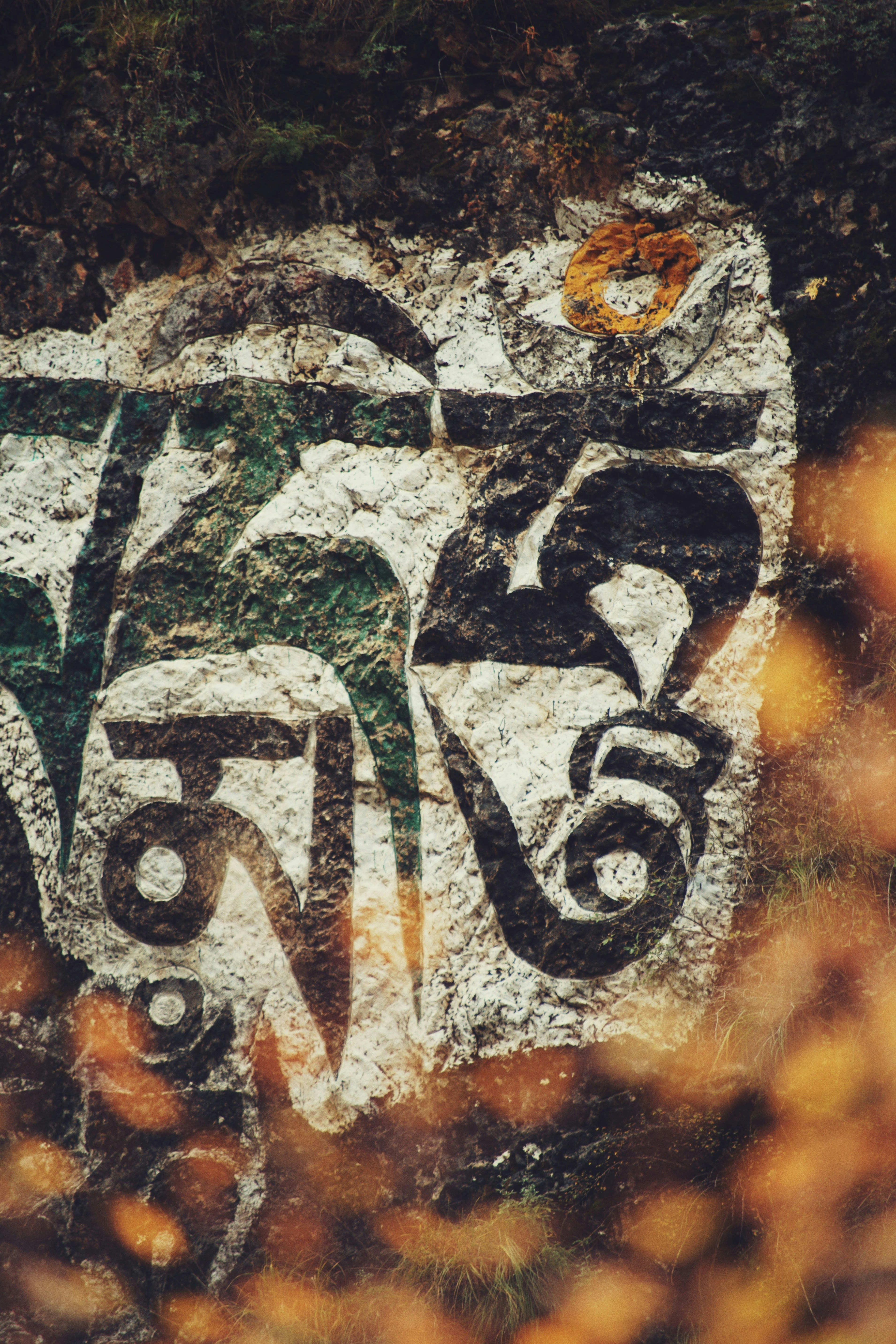 Photo by judahwester