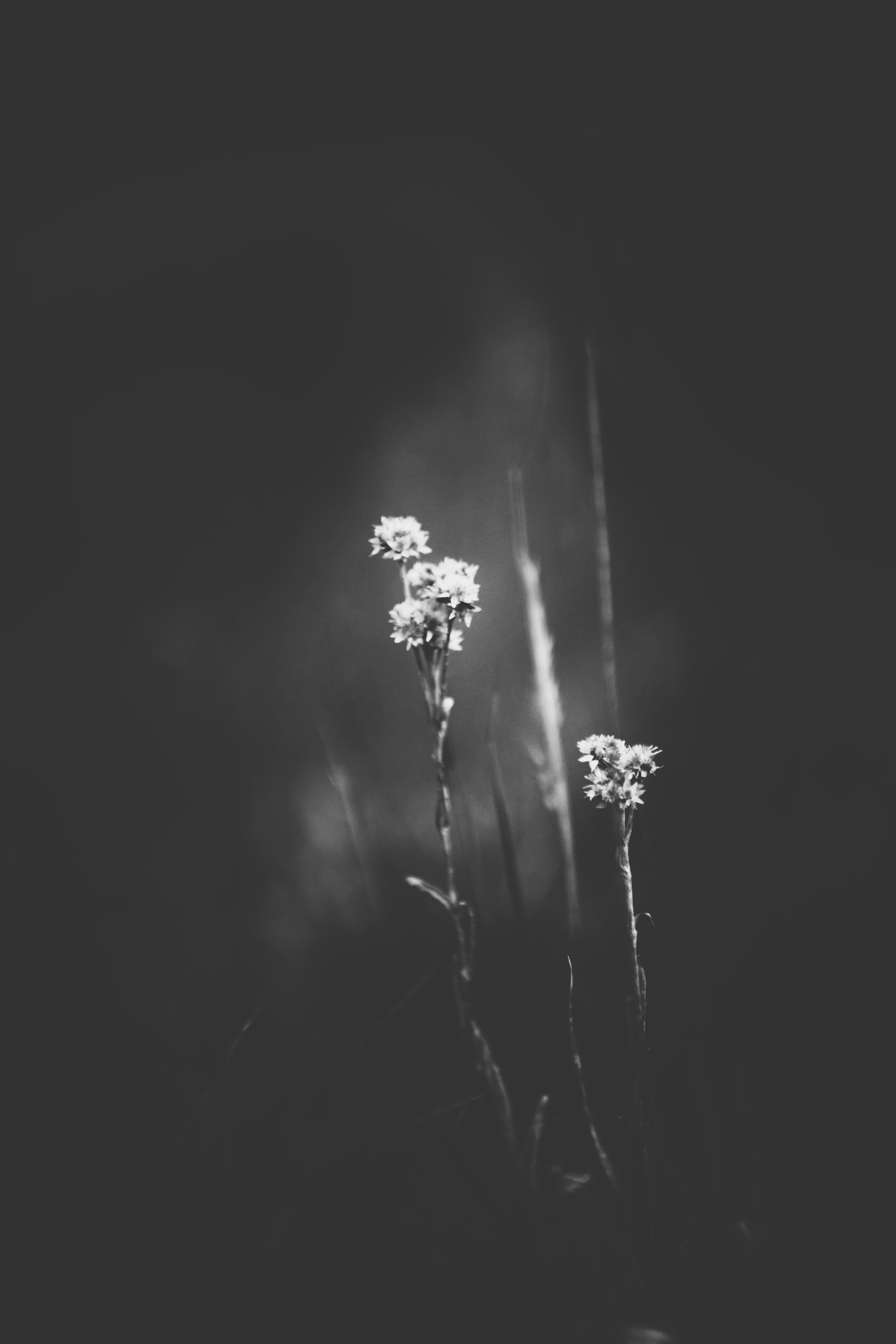 Photo by judahwester