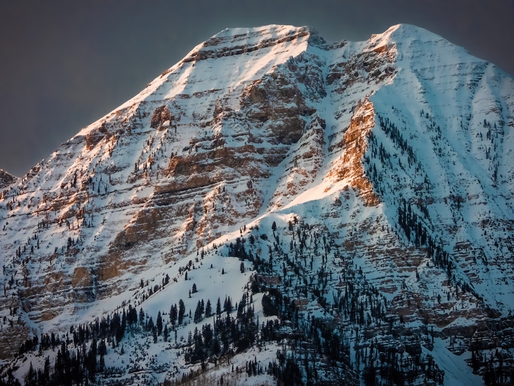 a snow covered mountain with trees on the side