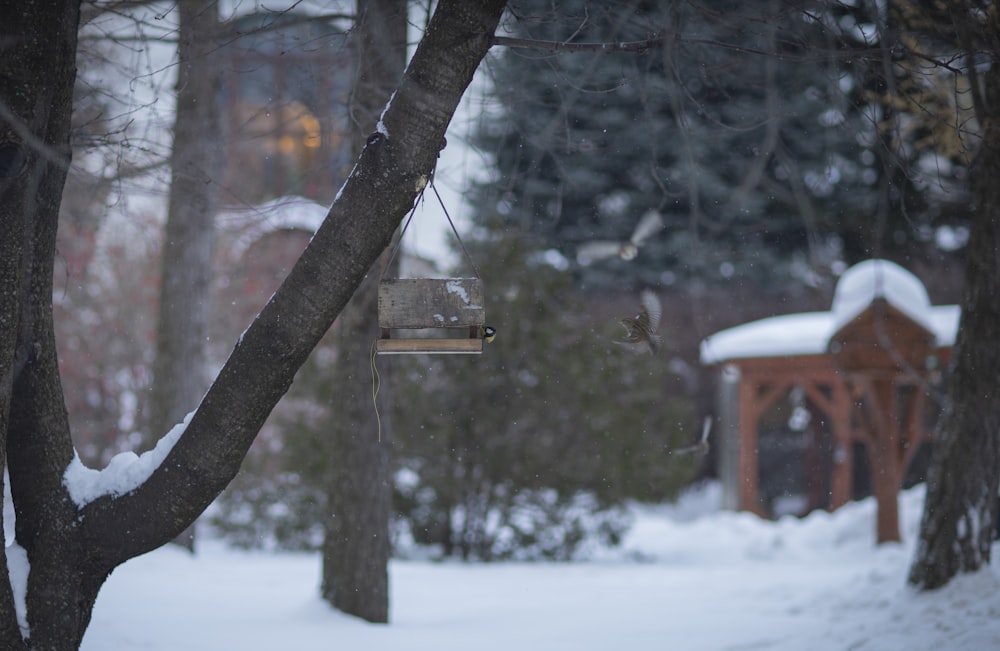 a bird feeder hanging from a tree in the snow