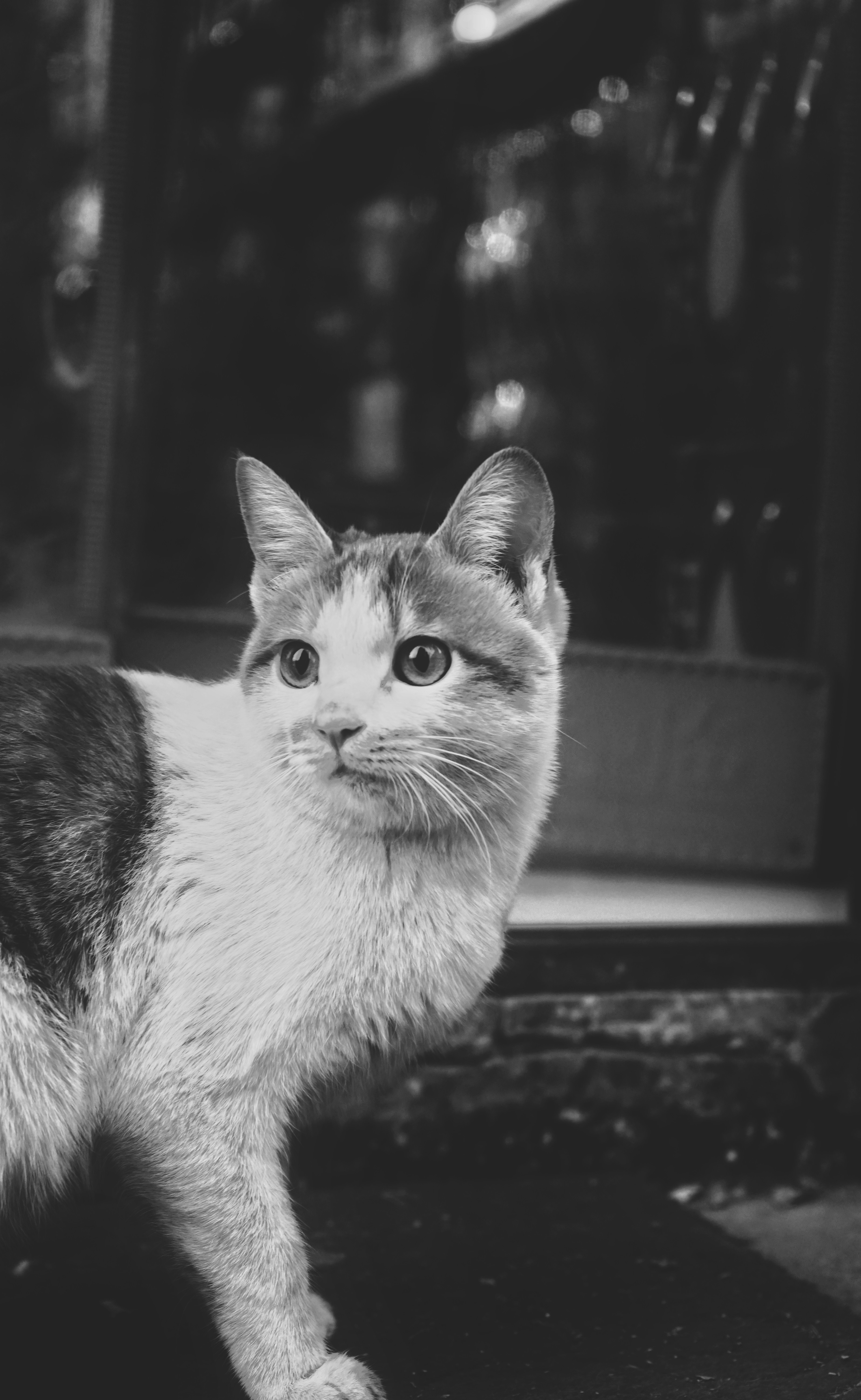 Photo by judahwester