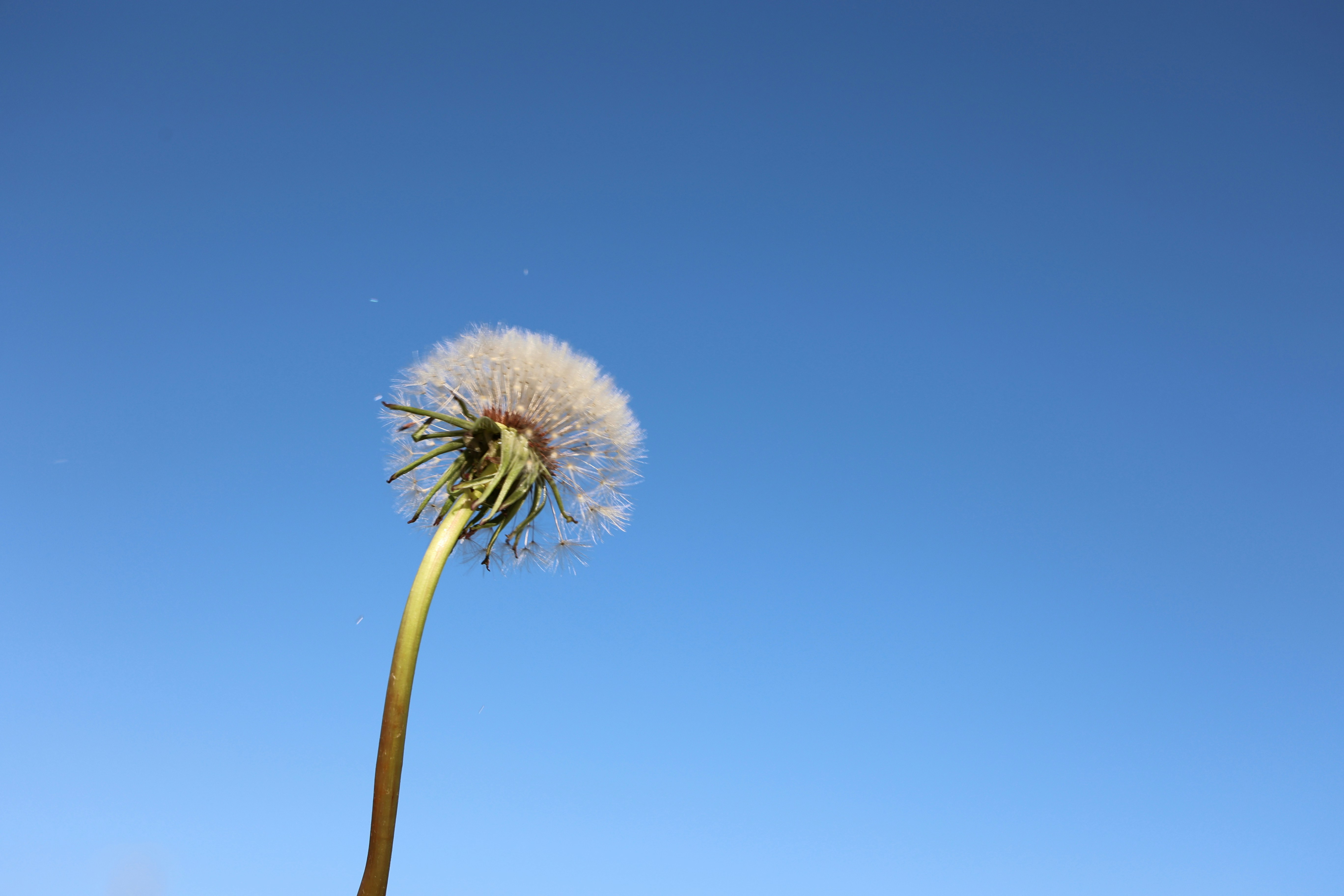 Photo by paola_canasvaladez