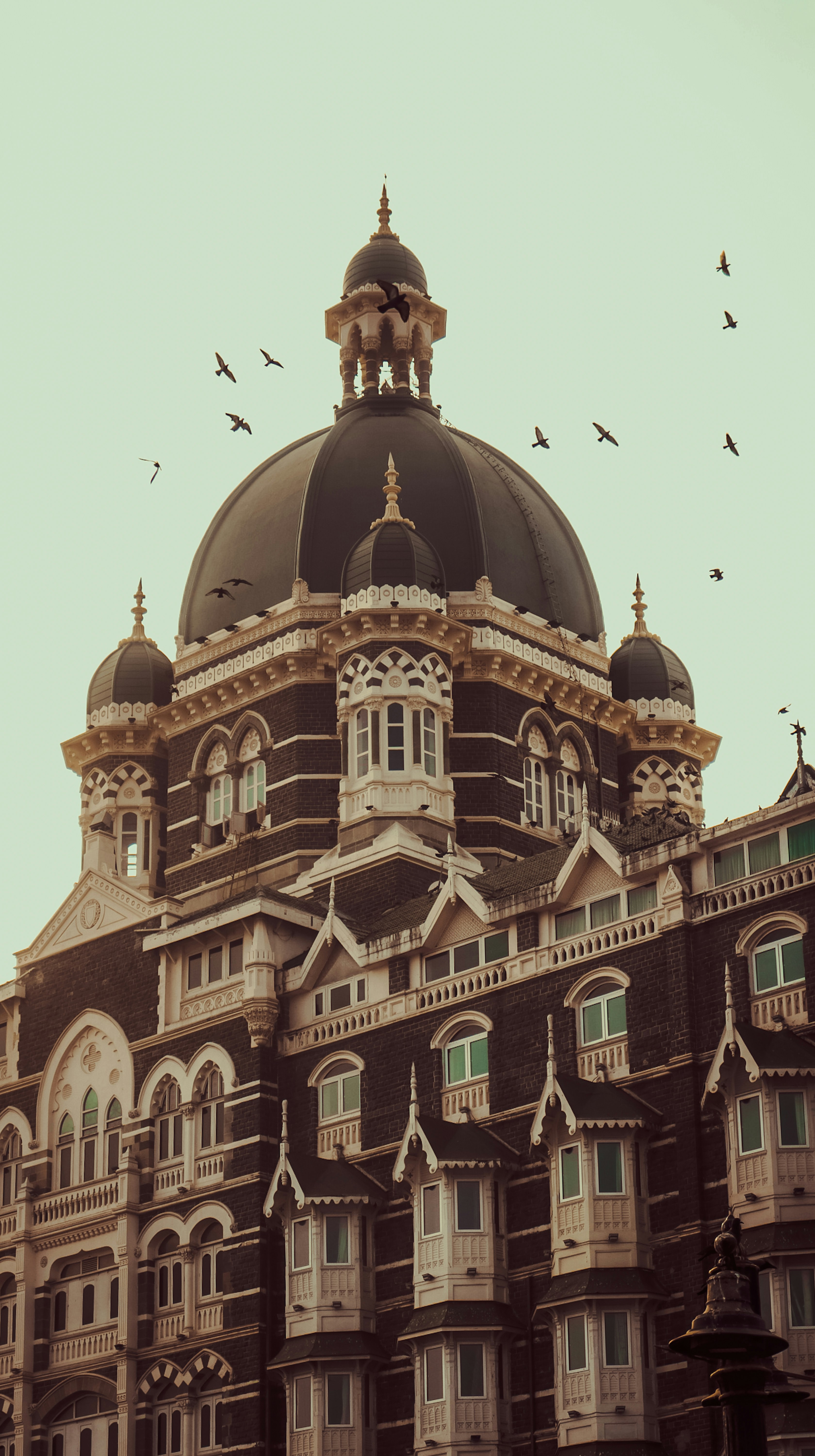 Photo by pixels_lens