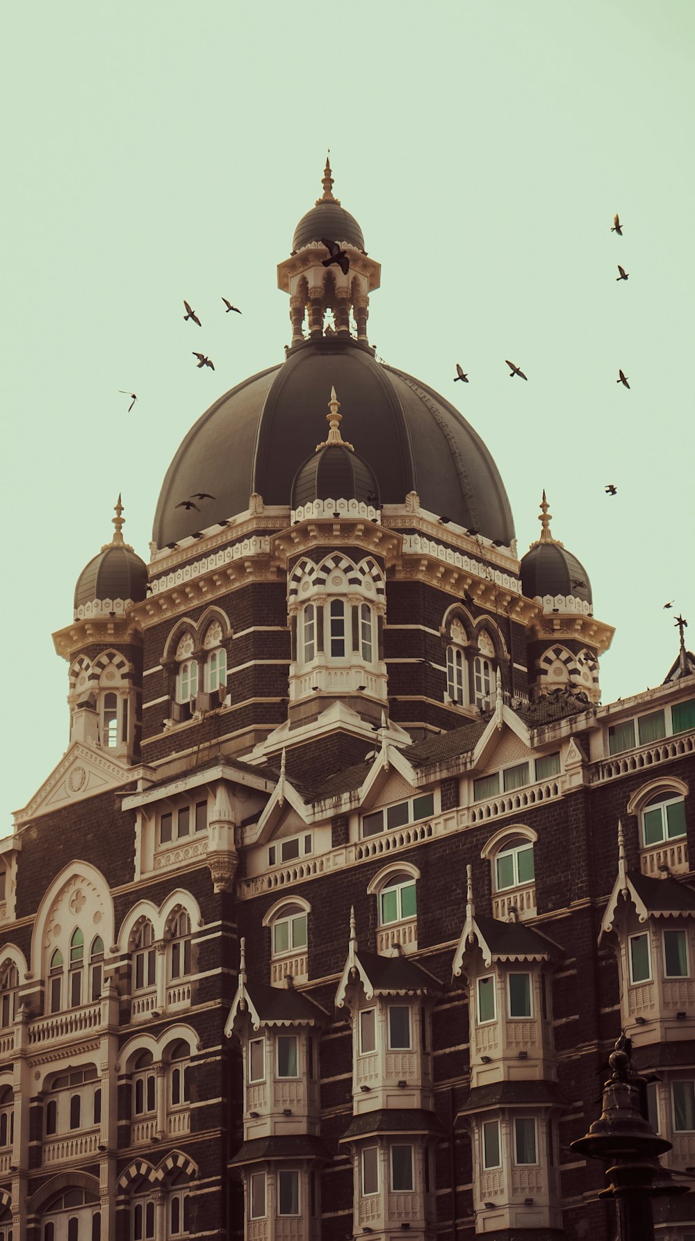 a large building with many windows and birds flying around