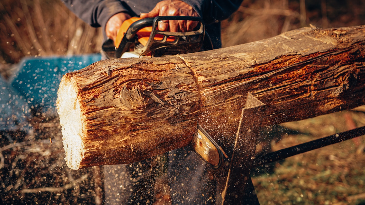 Chainsaw models