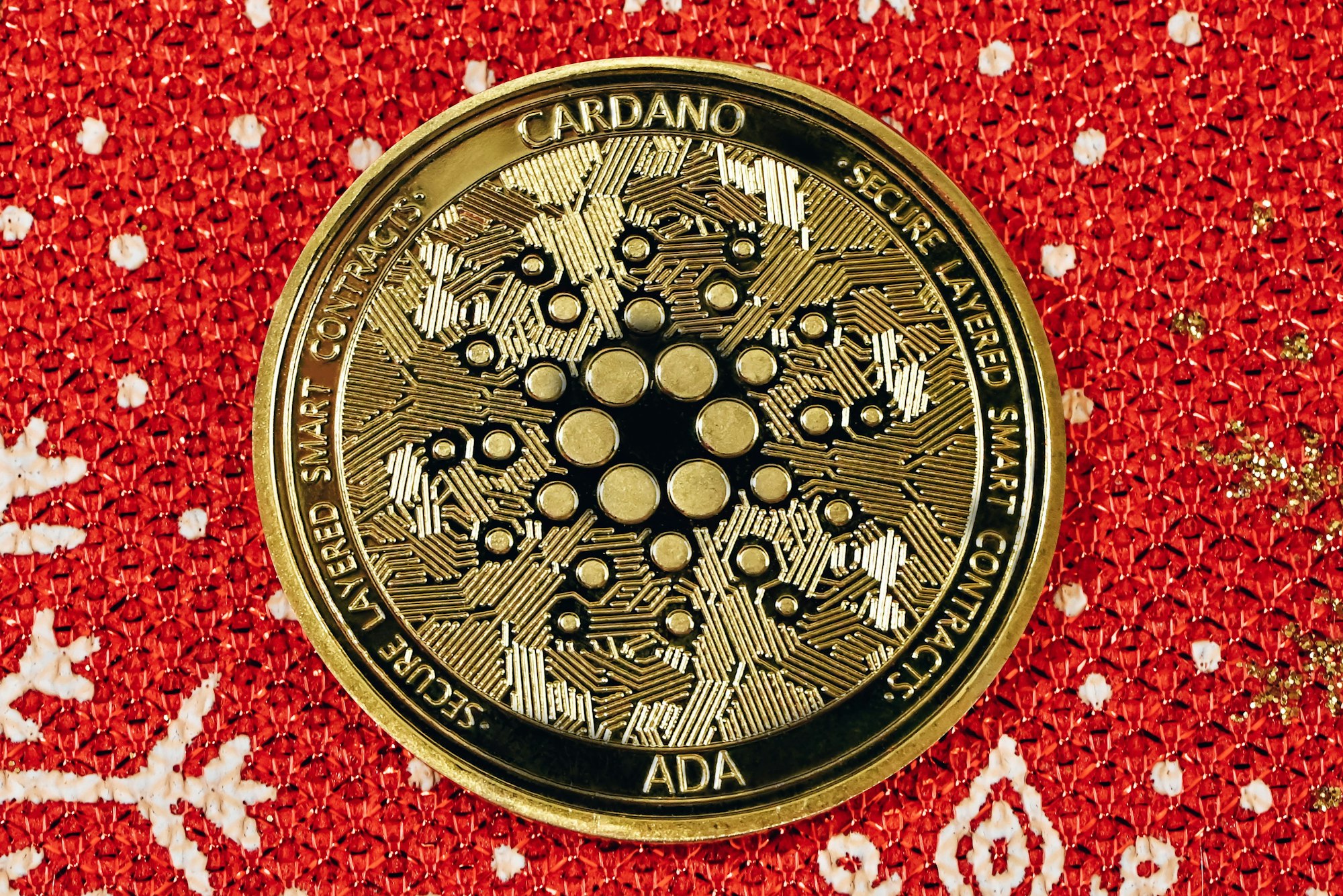 A black Cardano coin on a red background