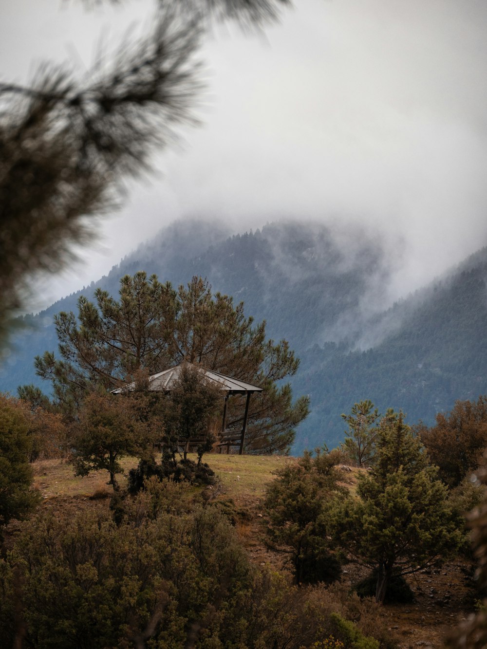 a gazebo in the middle of a field with mountains in the background