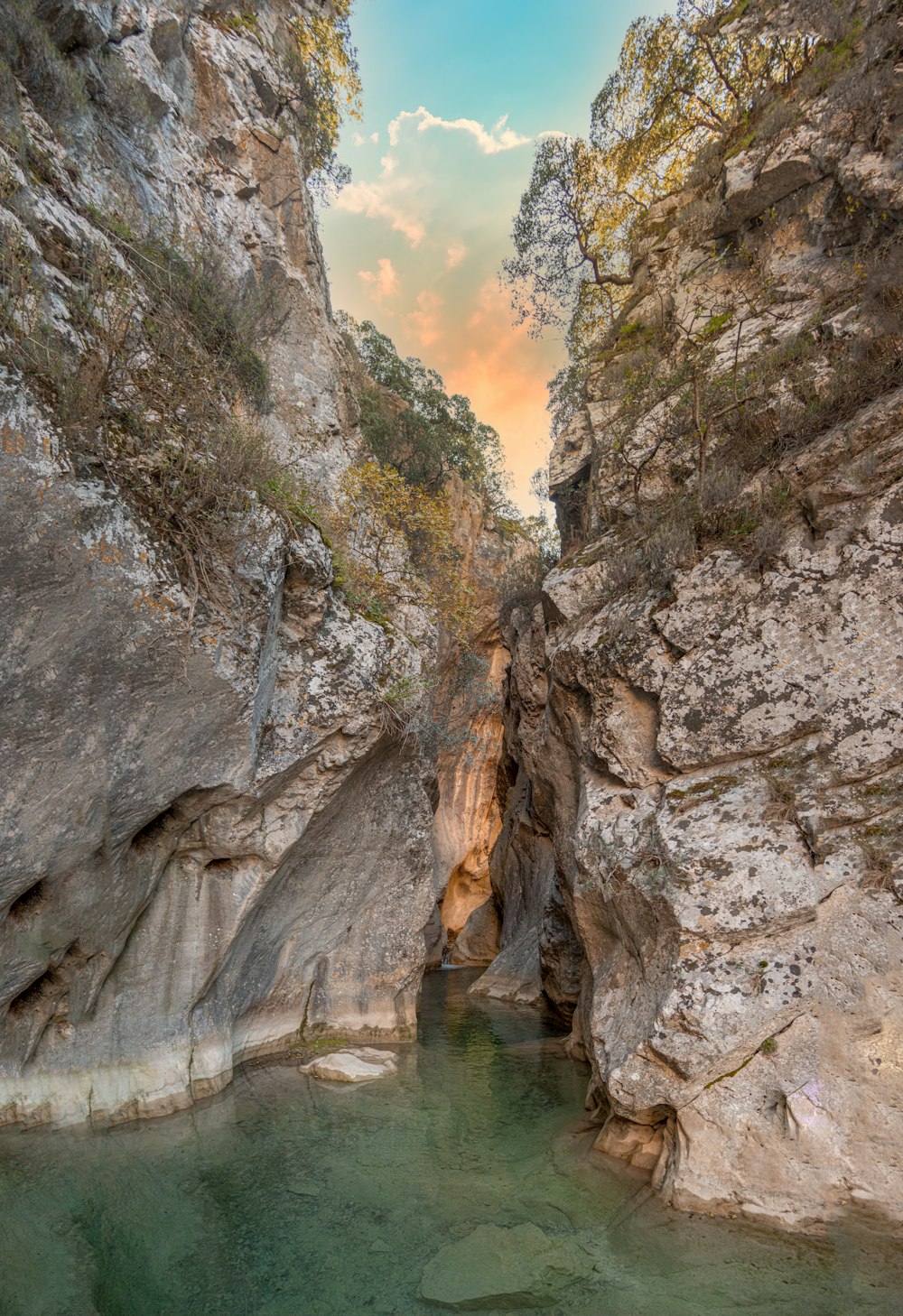 a river running through a rocky canyon next to a forest