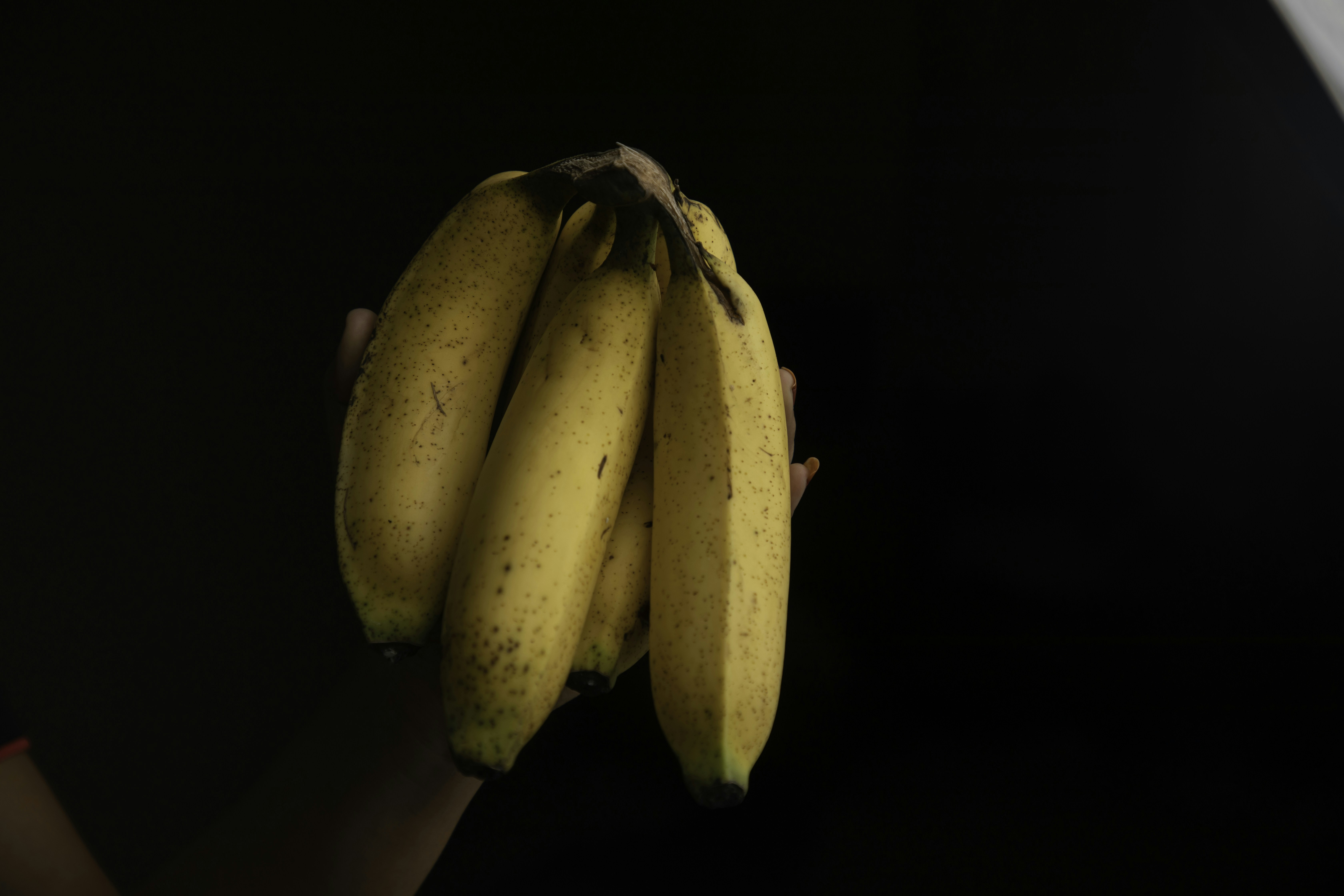 a person holding a bunch of ripe bananas