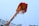 A large, ornately decorated kite adorned with colorful garlands and tassels is flying against a clear blue sky. The kite features a vibrant mix of orange, red, and green flowers along with streamers that hang down. Below the kite, a structure and some greenery are visible.