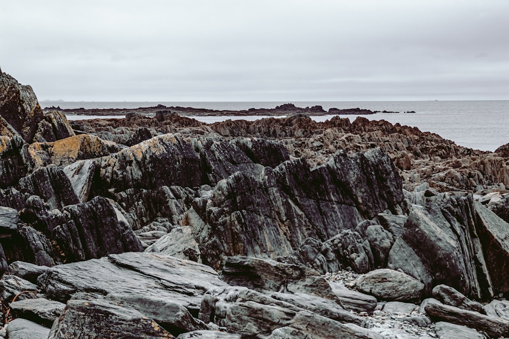 a rocky shoreline with a body of water in the distance