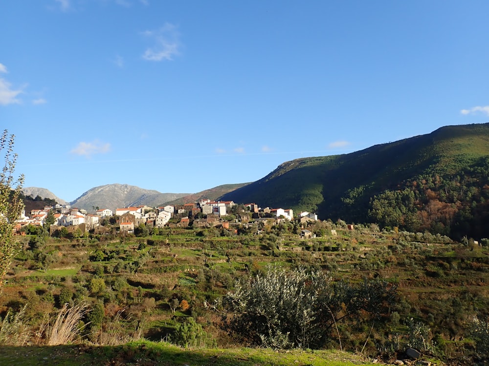 a view of a small village in the mountains