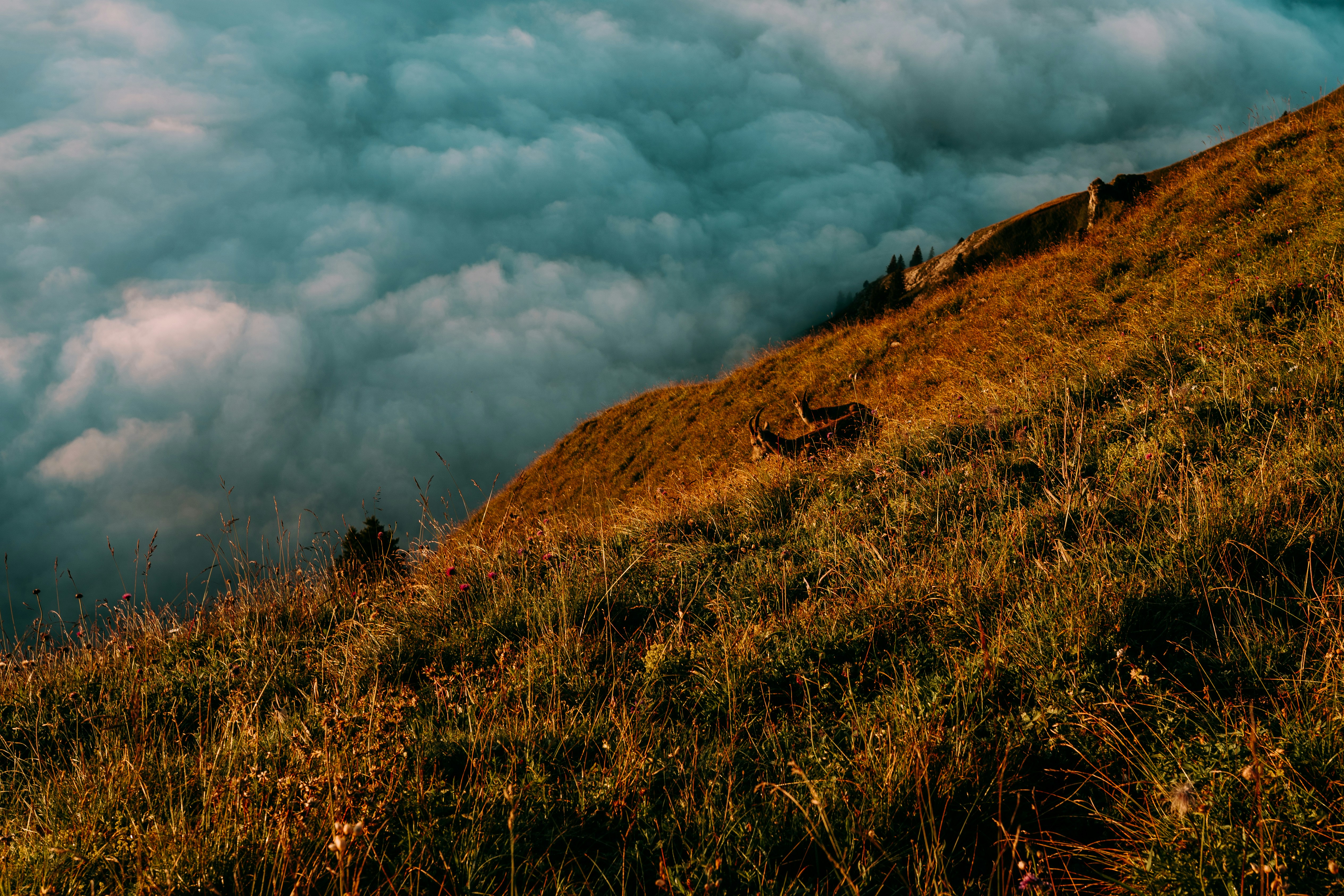 a grassy hill with a hill covered in clouds