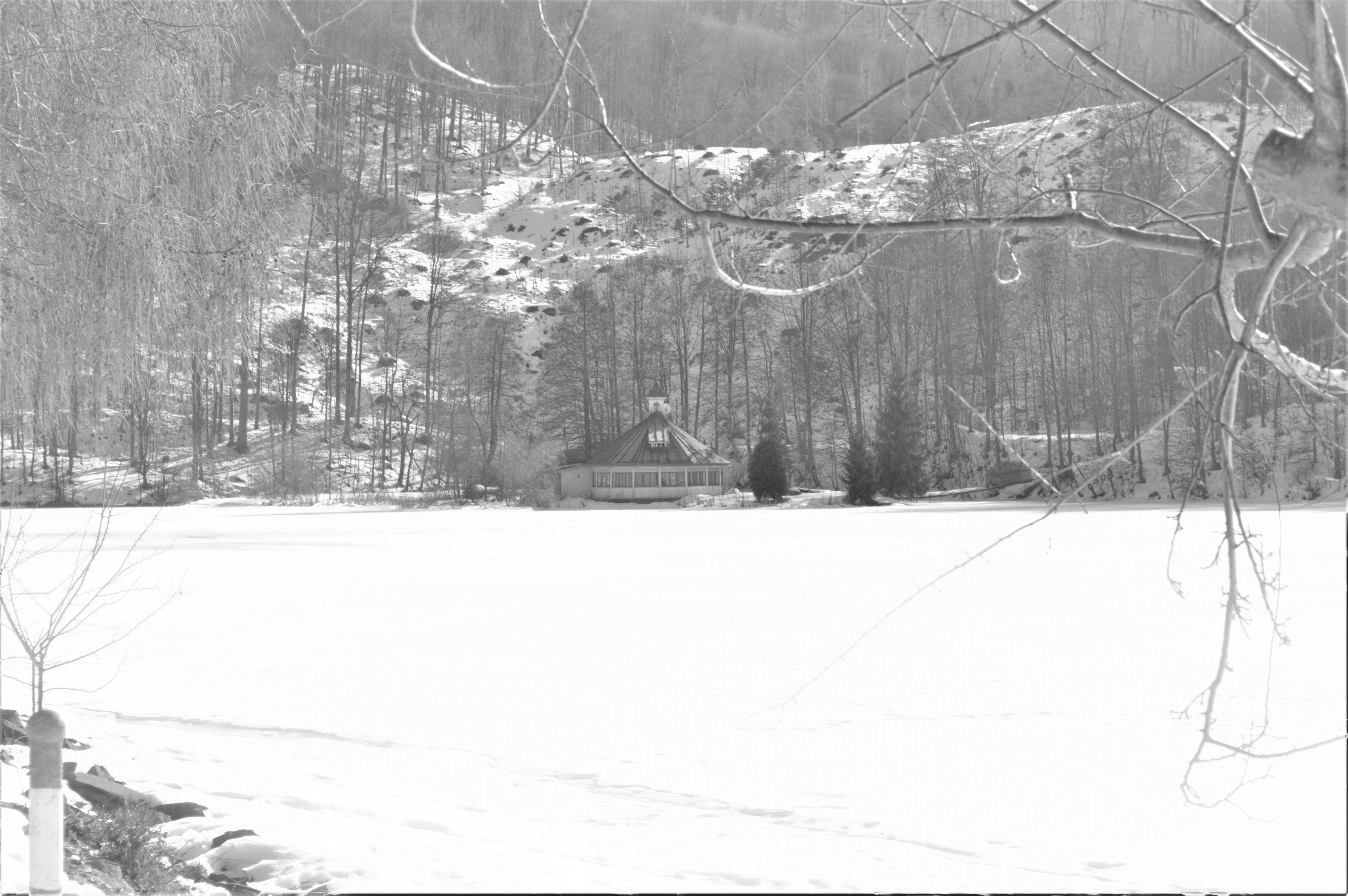 Photo by laura_paraschivescu