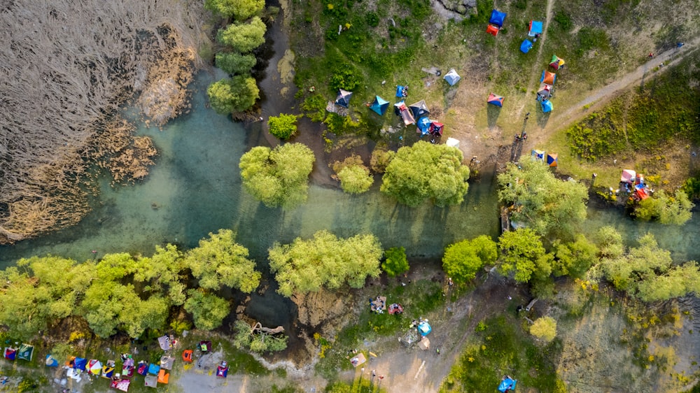 a group of people standing on top of a lush green hillside