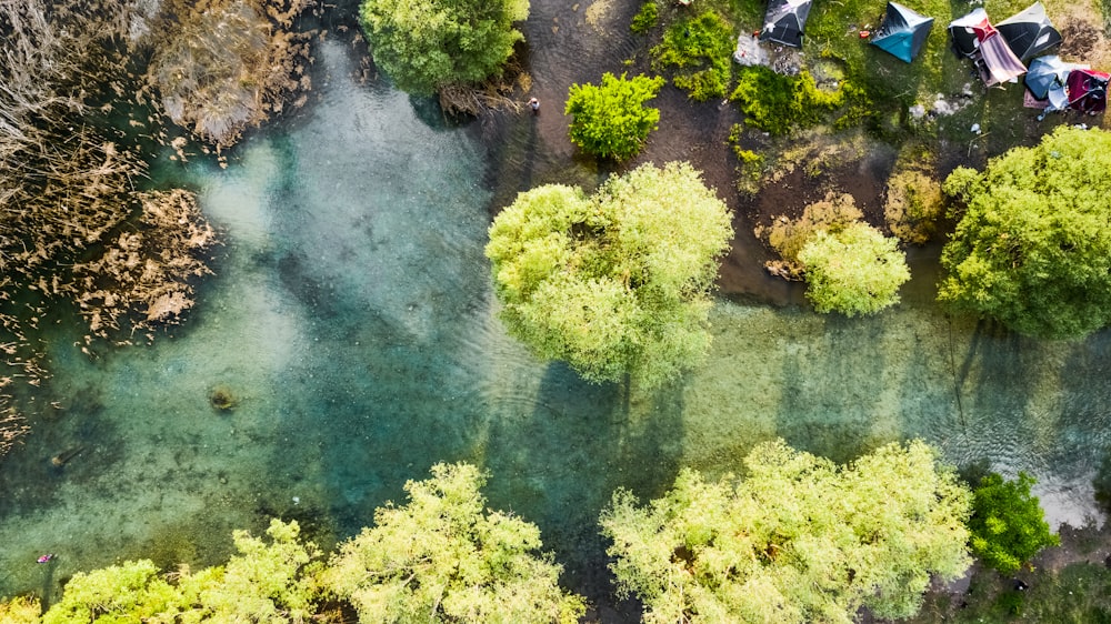 an aerial view of a river surrounded by trees