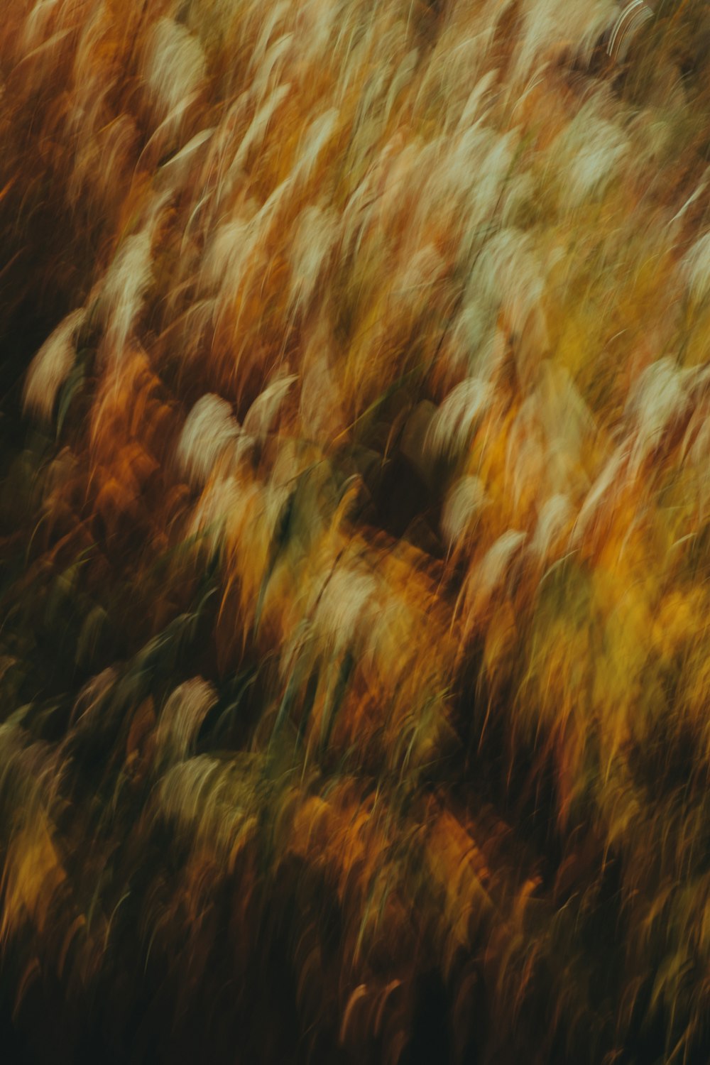 a close up of a plant