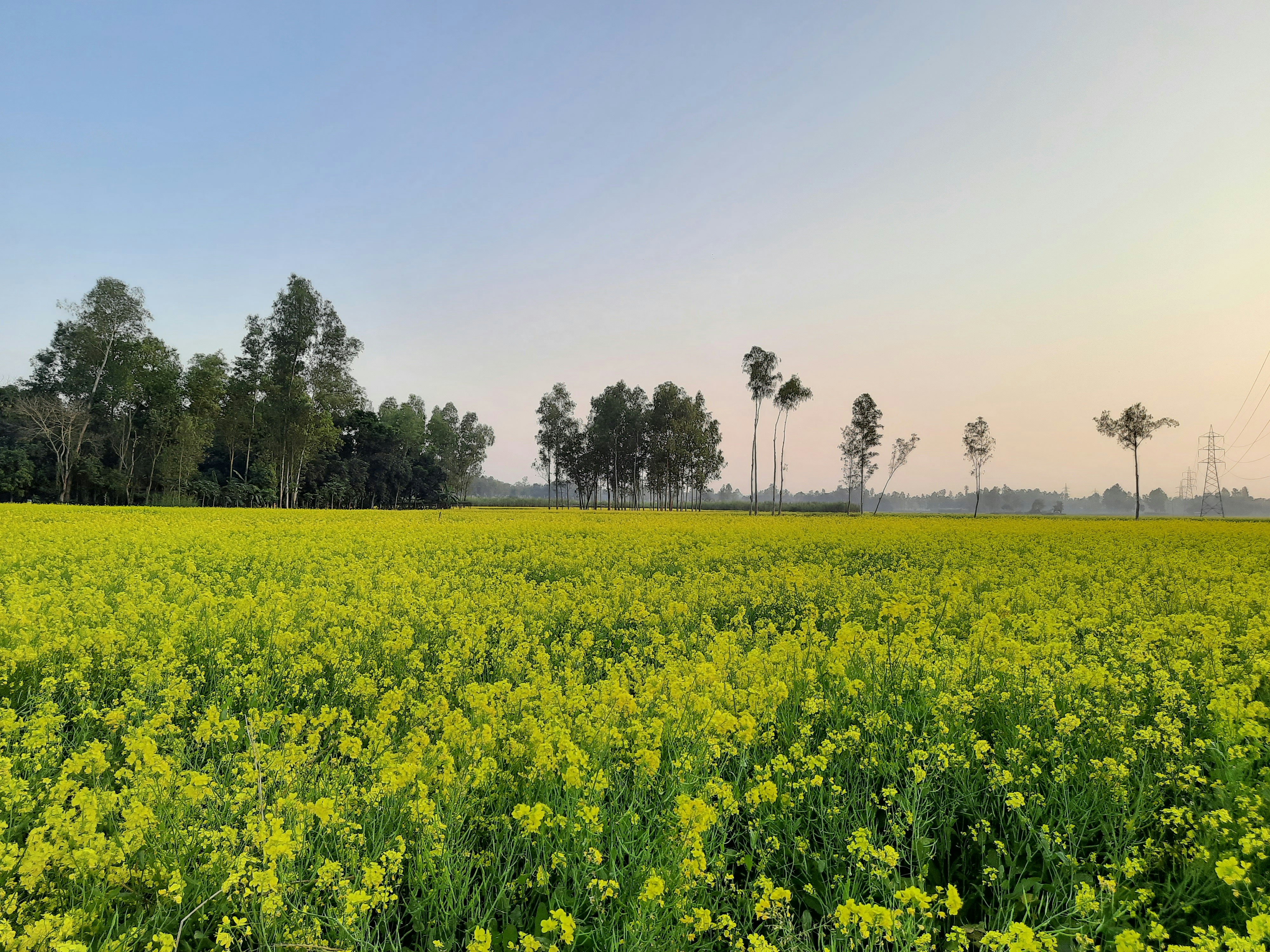 Photo by mazhar87