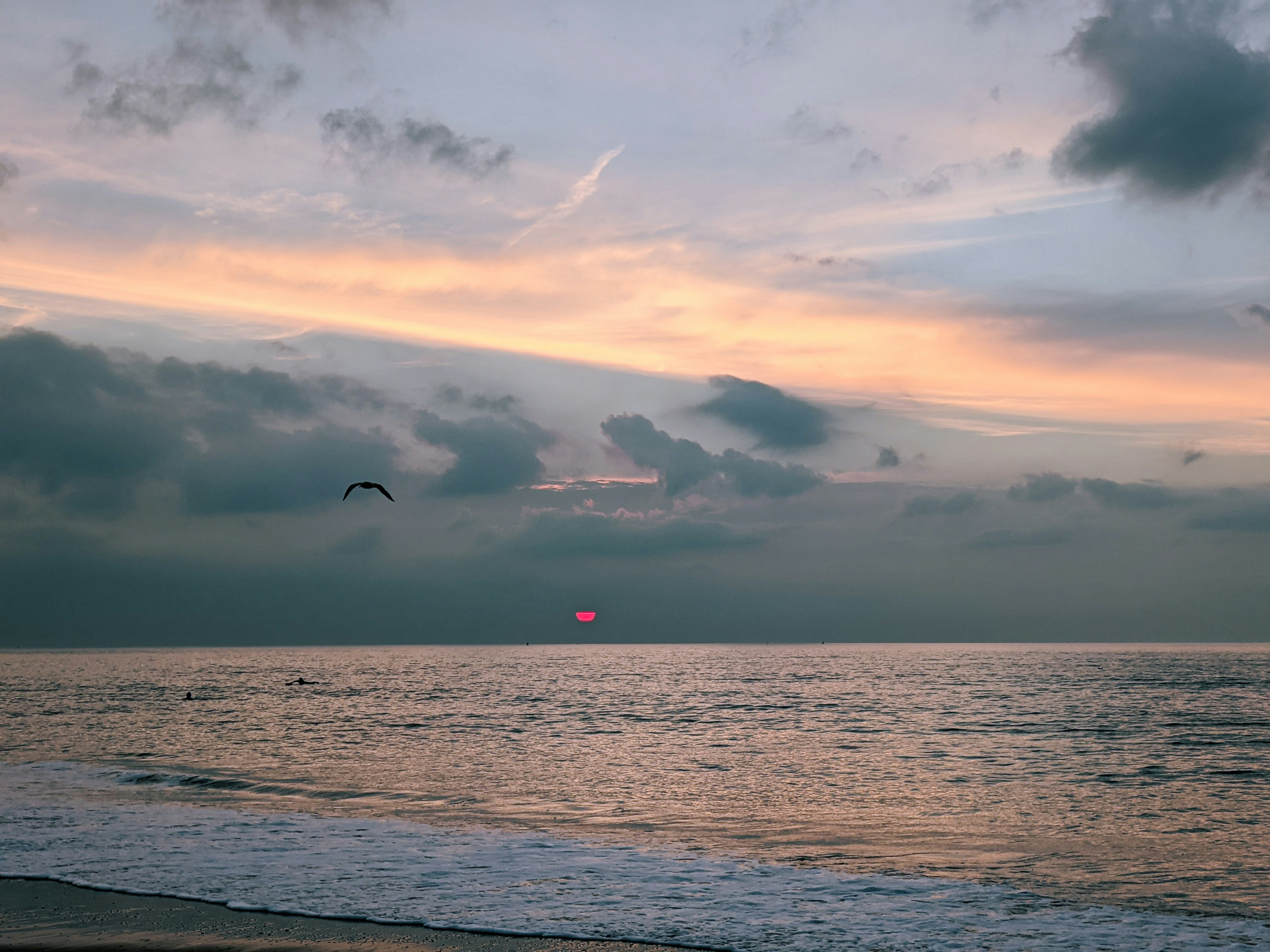 a bird flying over the ocean at sunset