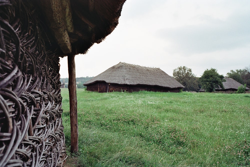 a giraffe standing on top of a grass covered field